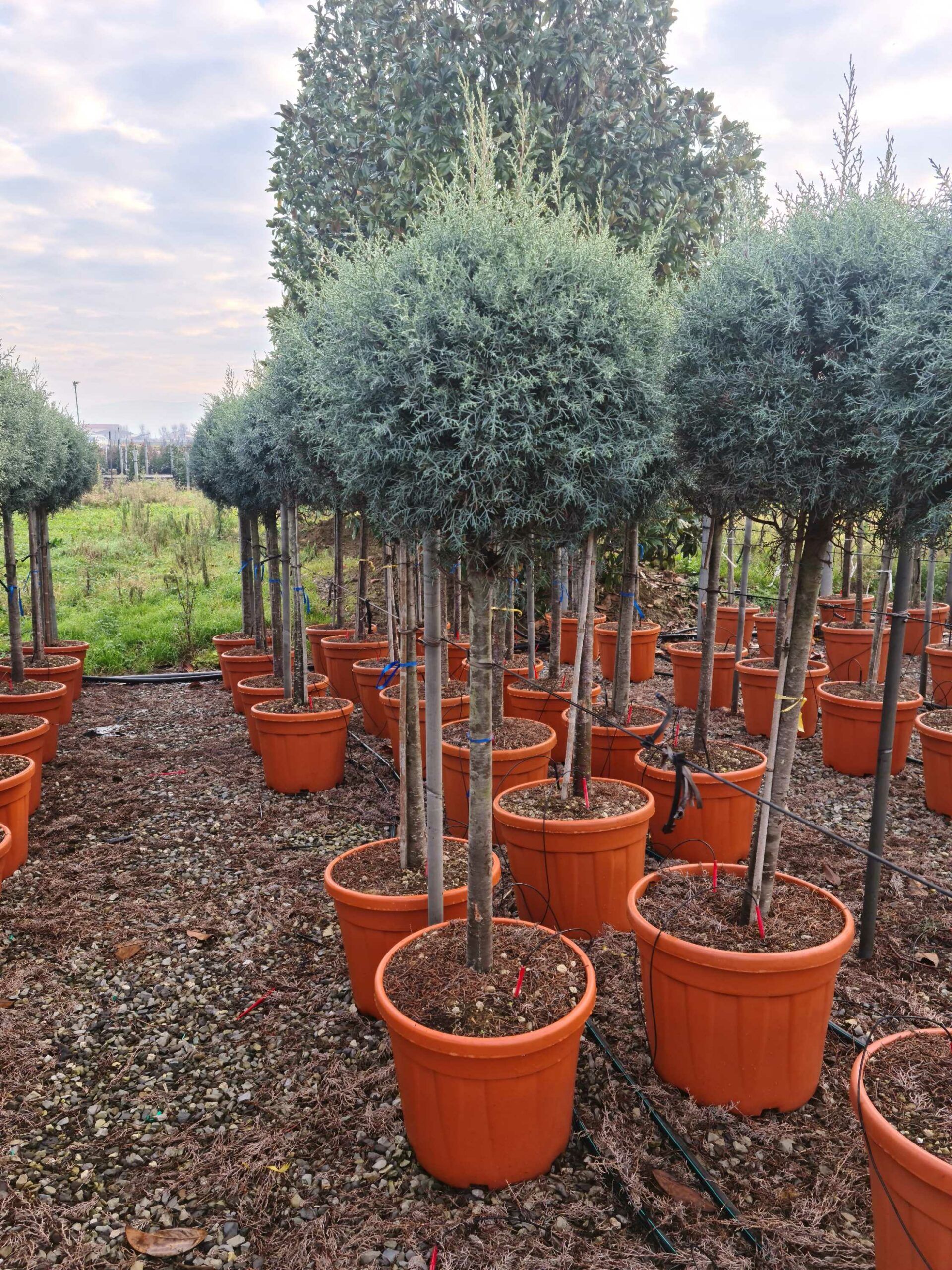 1640162613 scaled 599a64ec