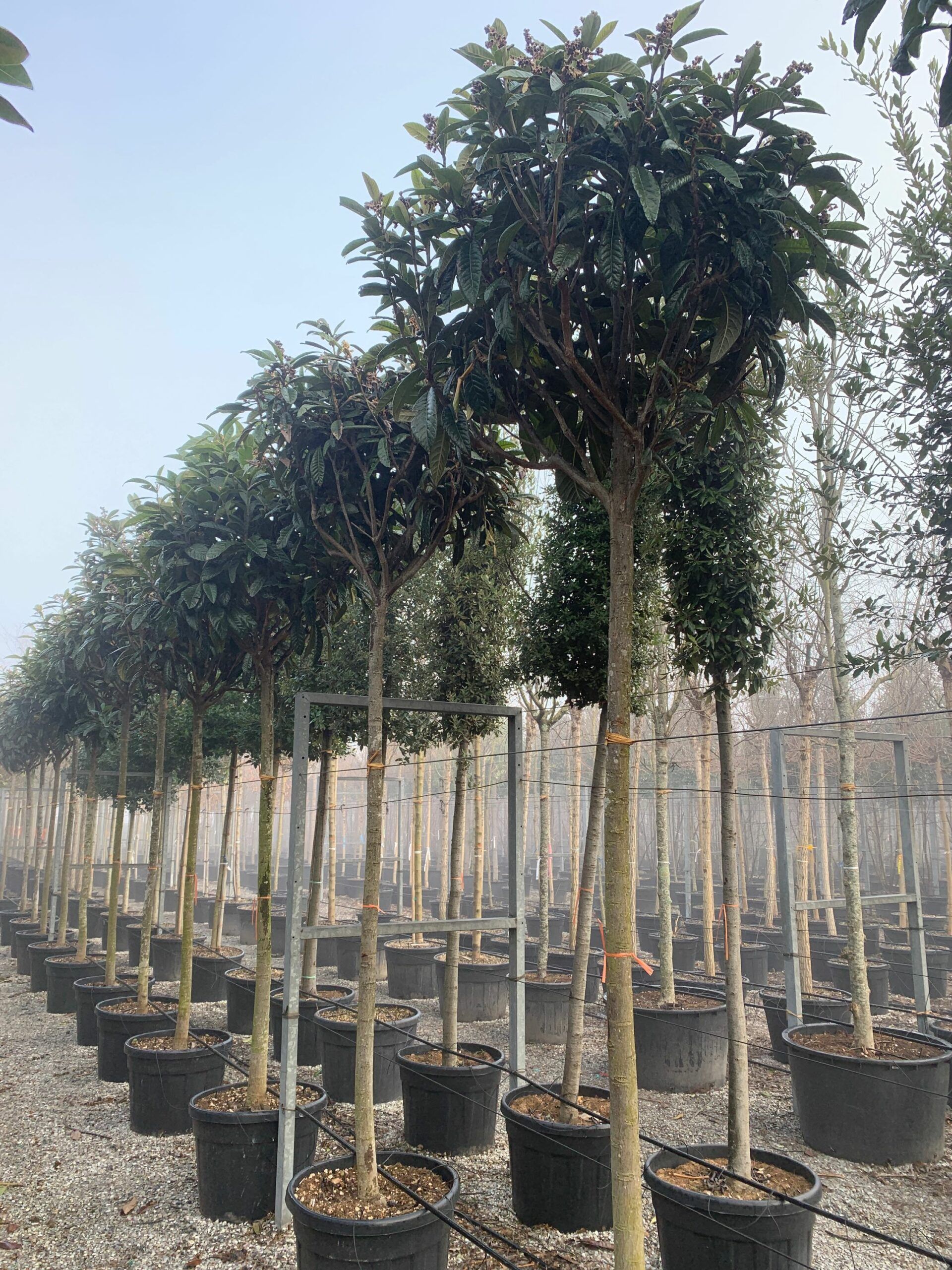 1642411181 scaled 59c58357