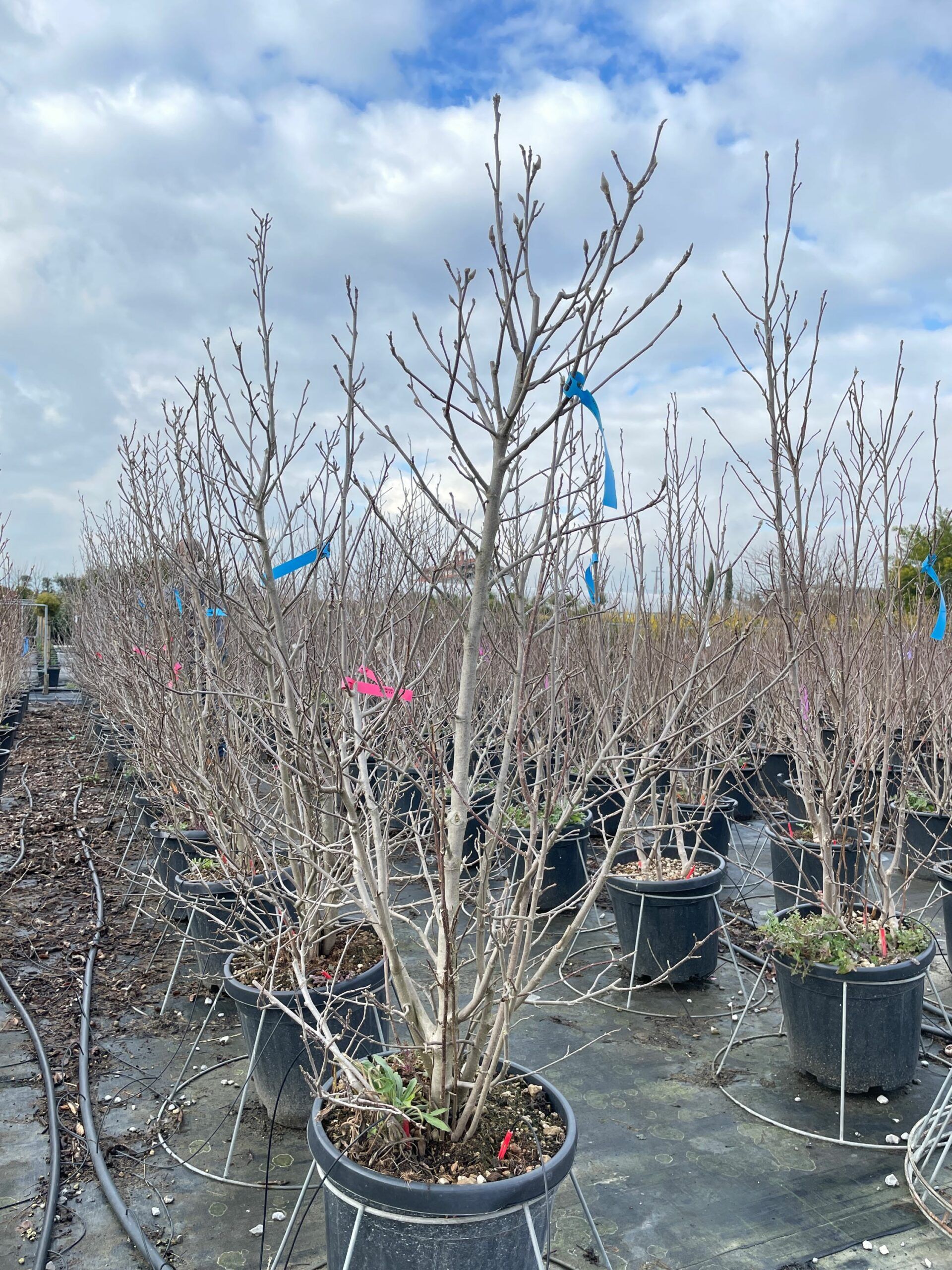 1642679023 scaled 597de882