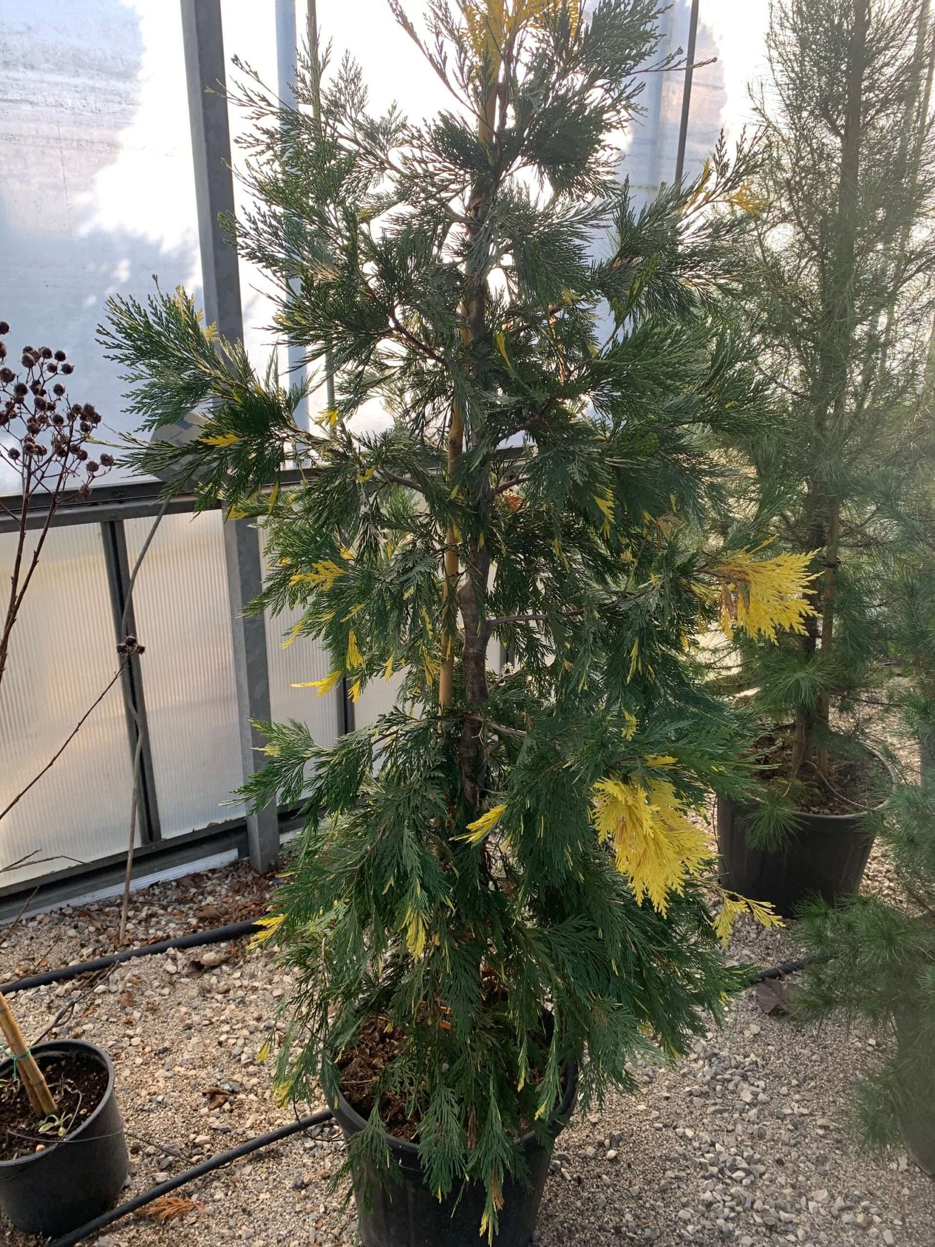 1644397930 scaled 5968a577