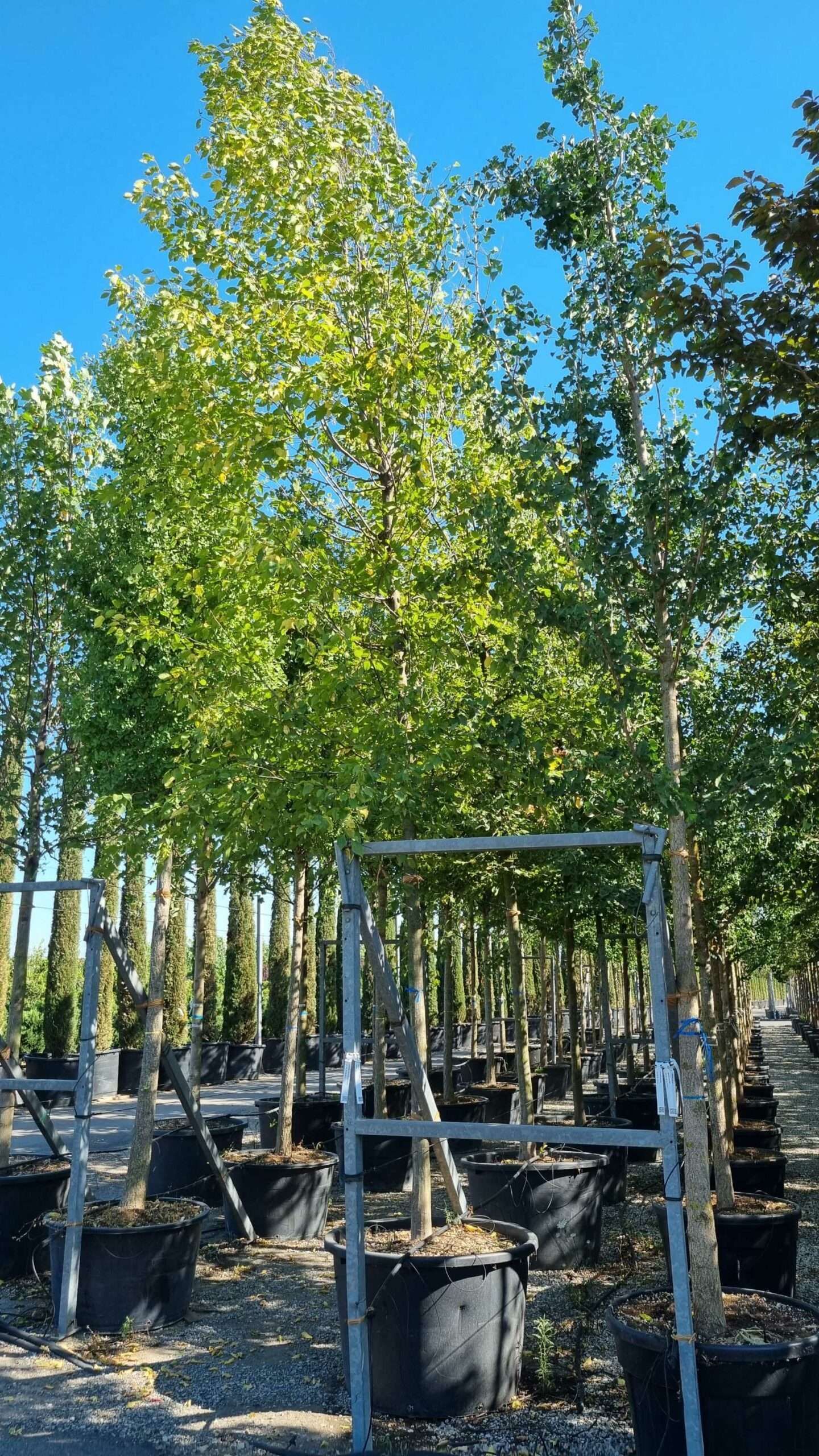 1657898107 scaled 5909971d