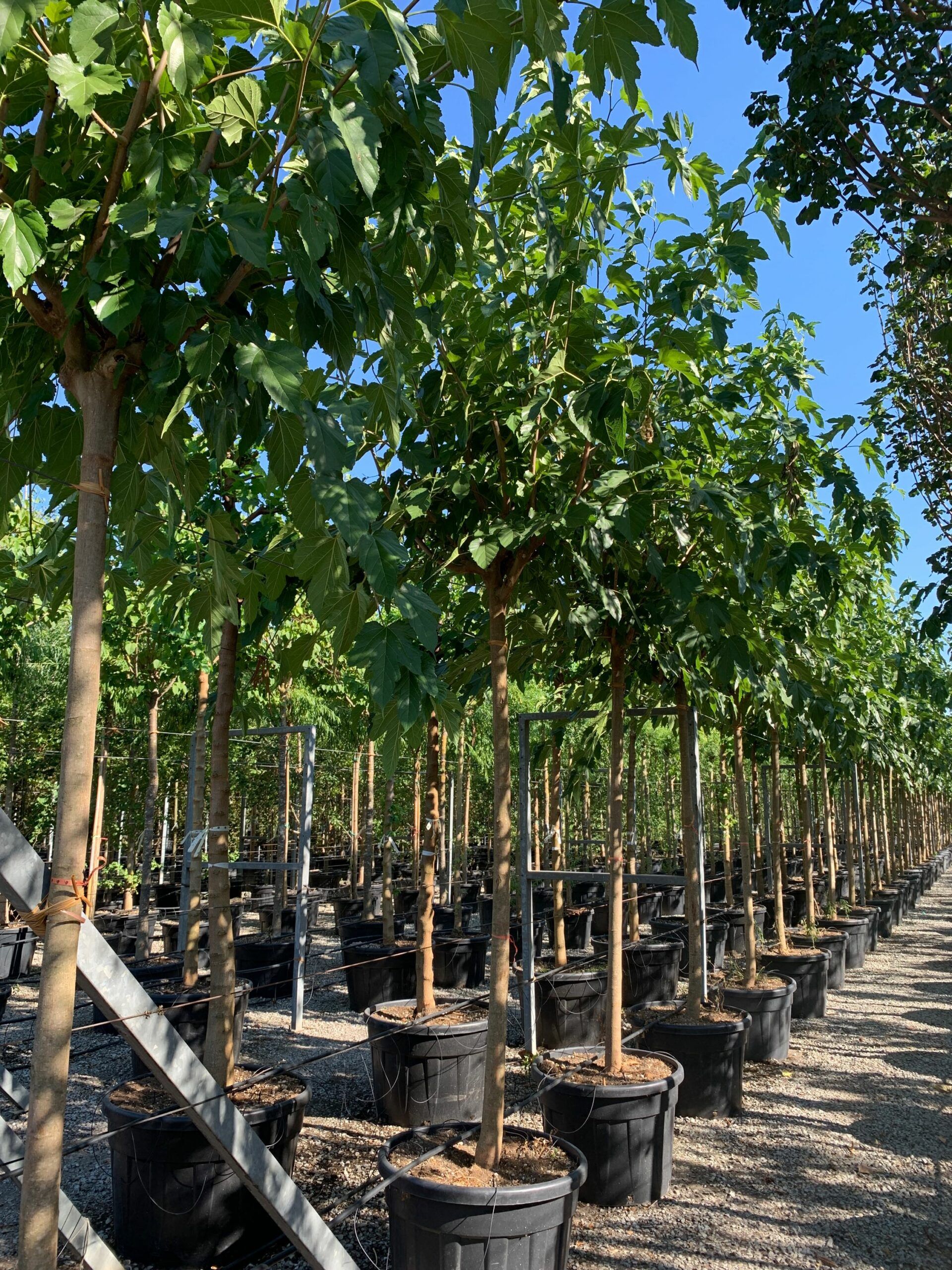 1657899361 scaled 59b9ec37