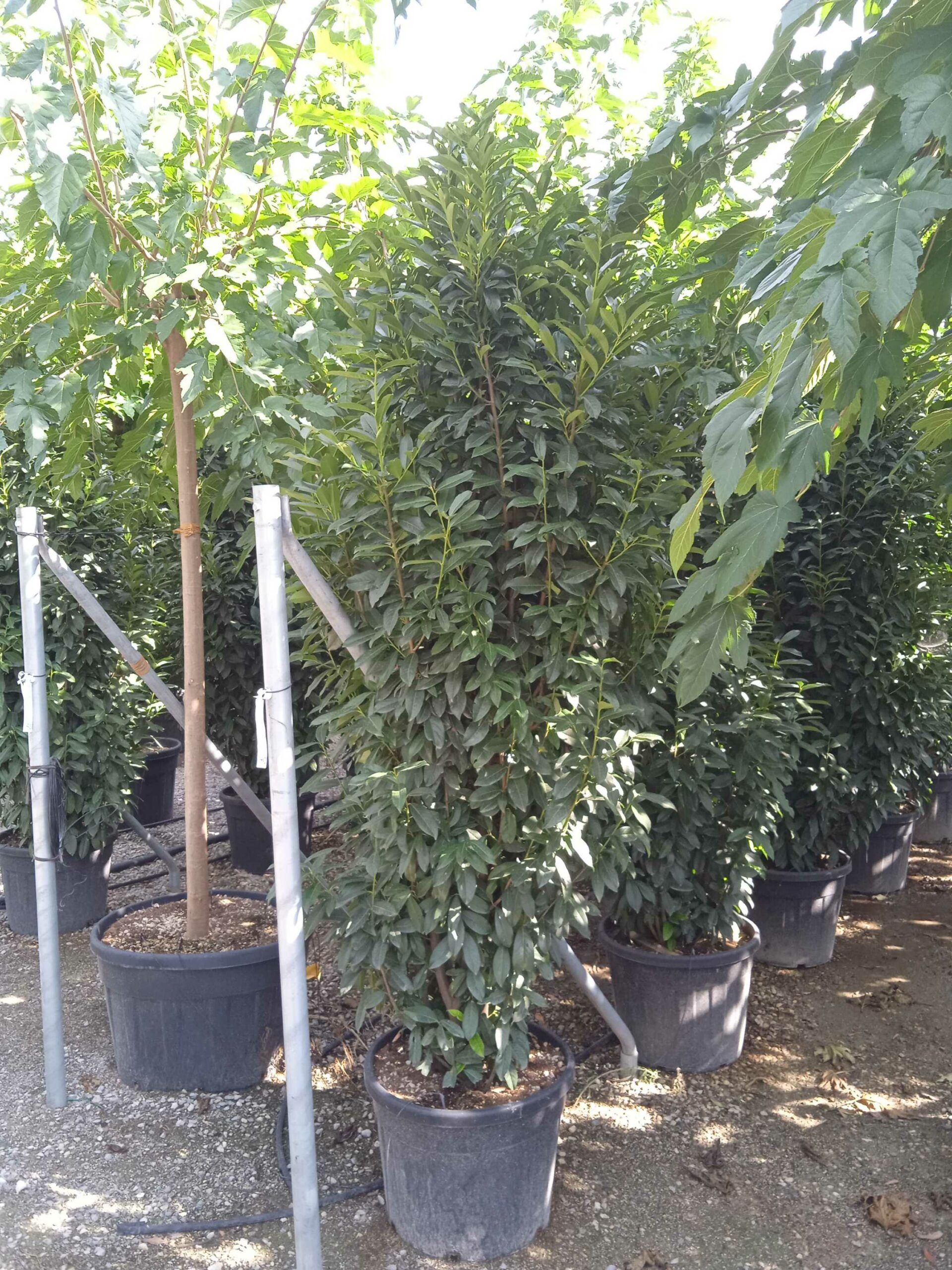 1662042647 scaled 5988b15c