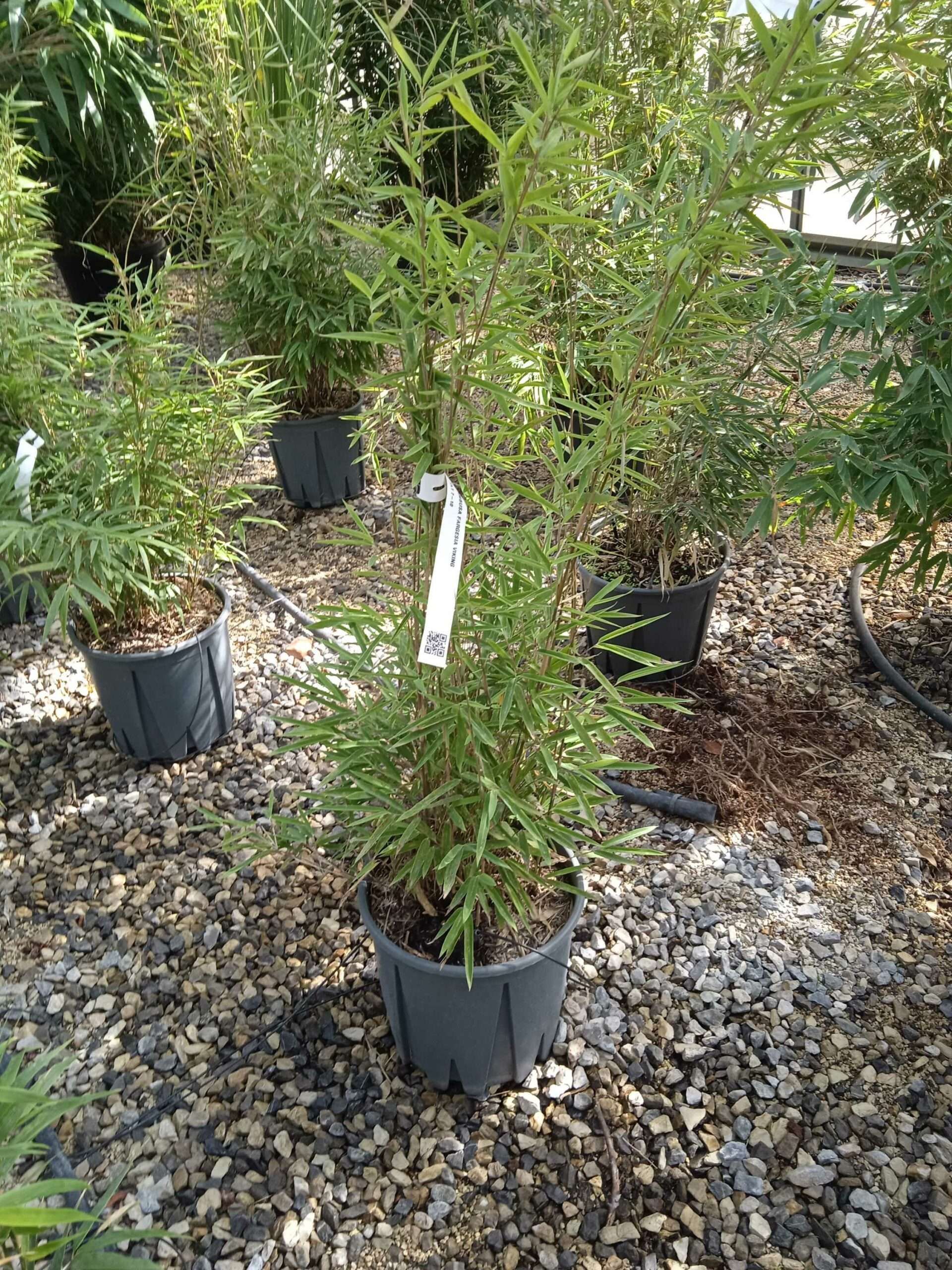 1662367664 scaled 59d5f29c