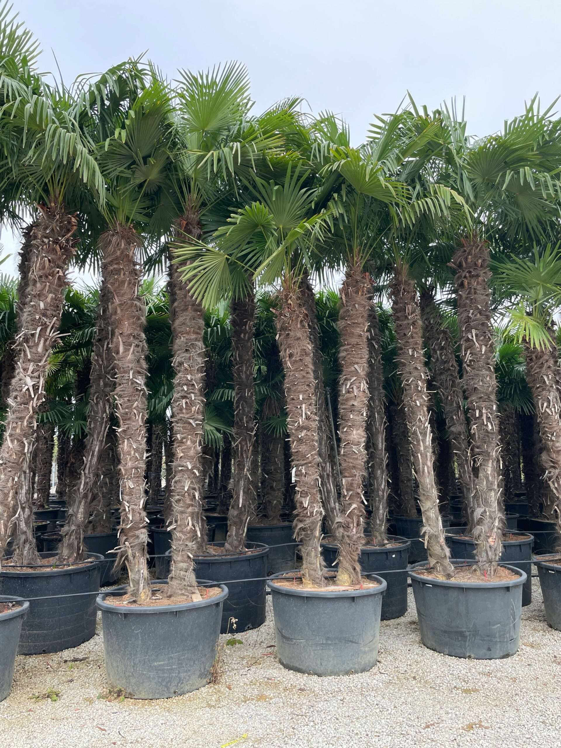 1666174619 scaled 59cc4681