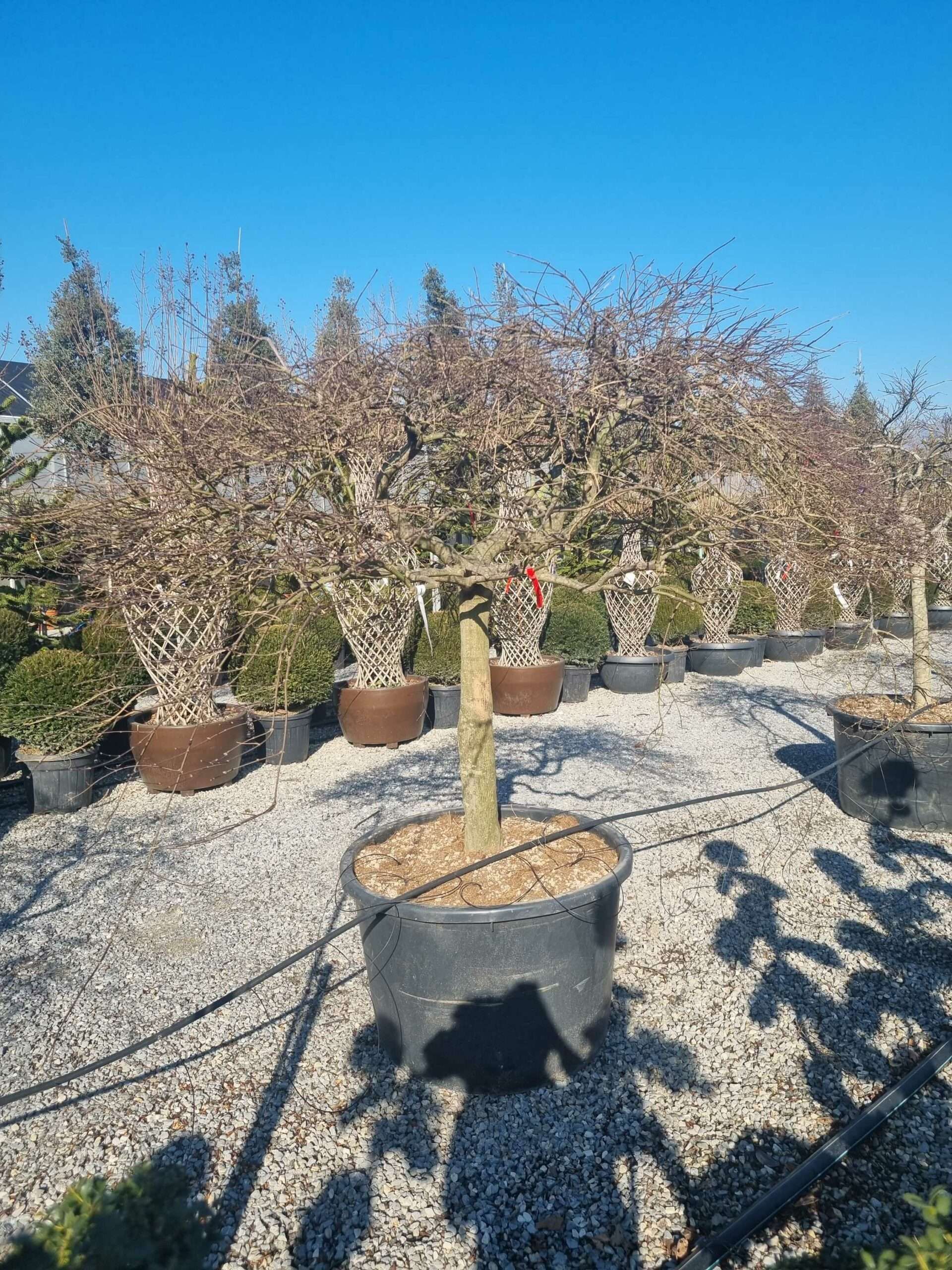 1676366749 scaled 597e22ca