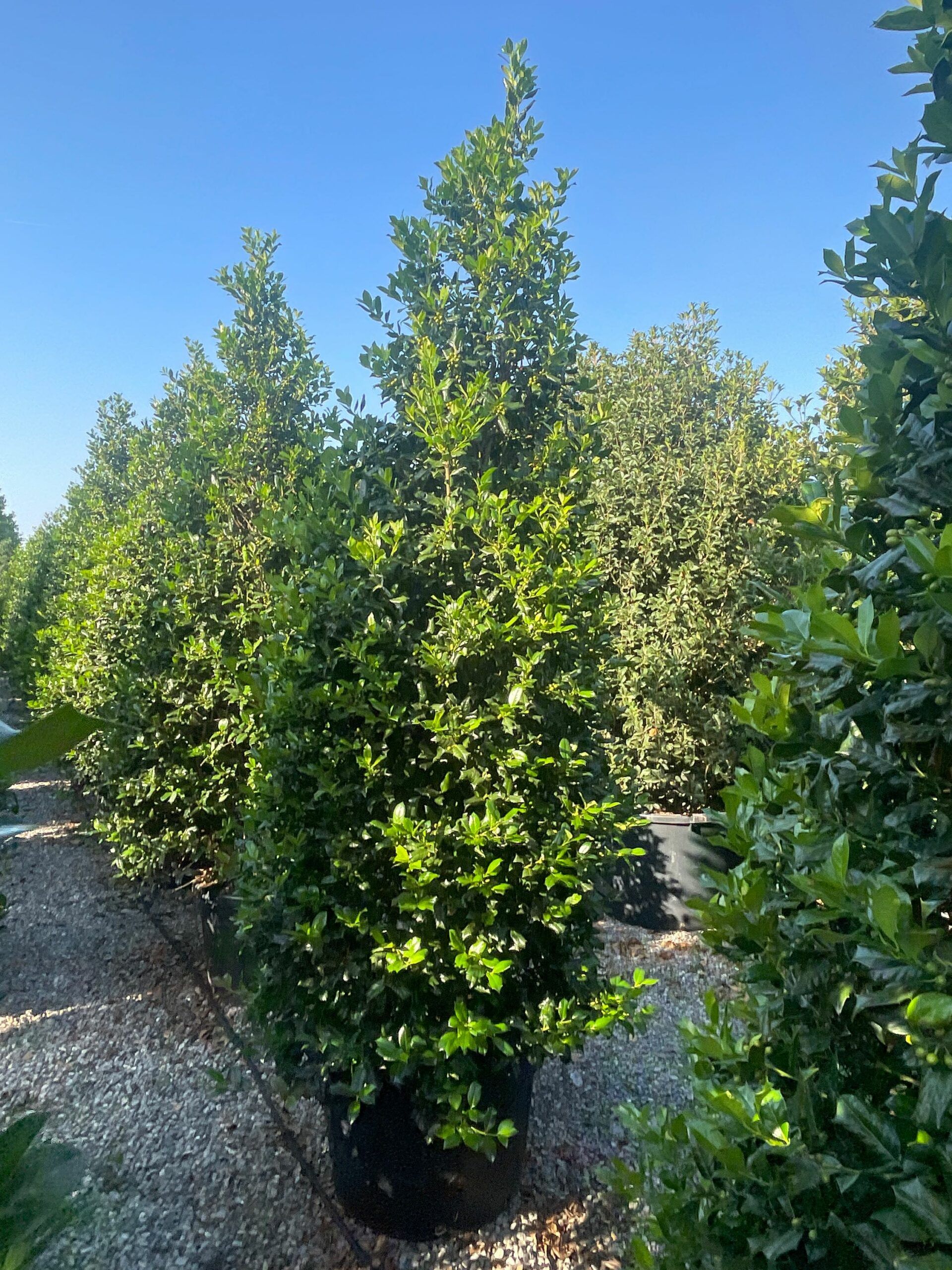 1692945457 scaled 595caea9