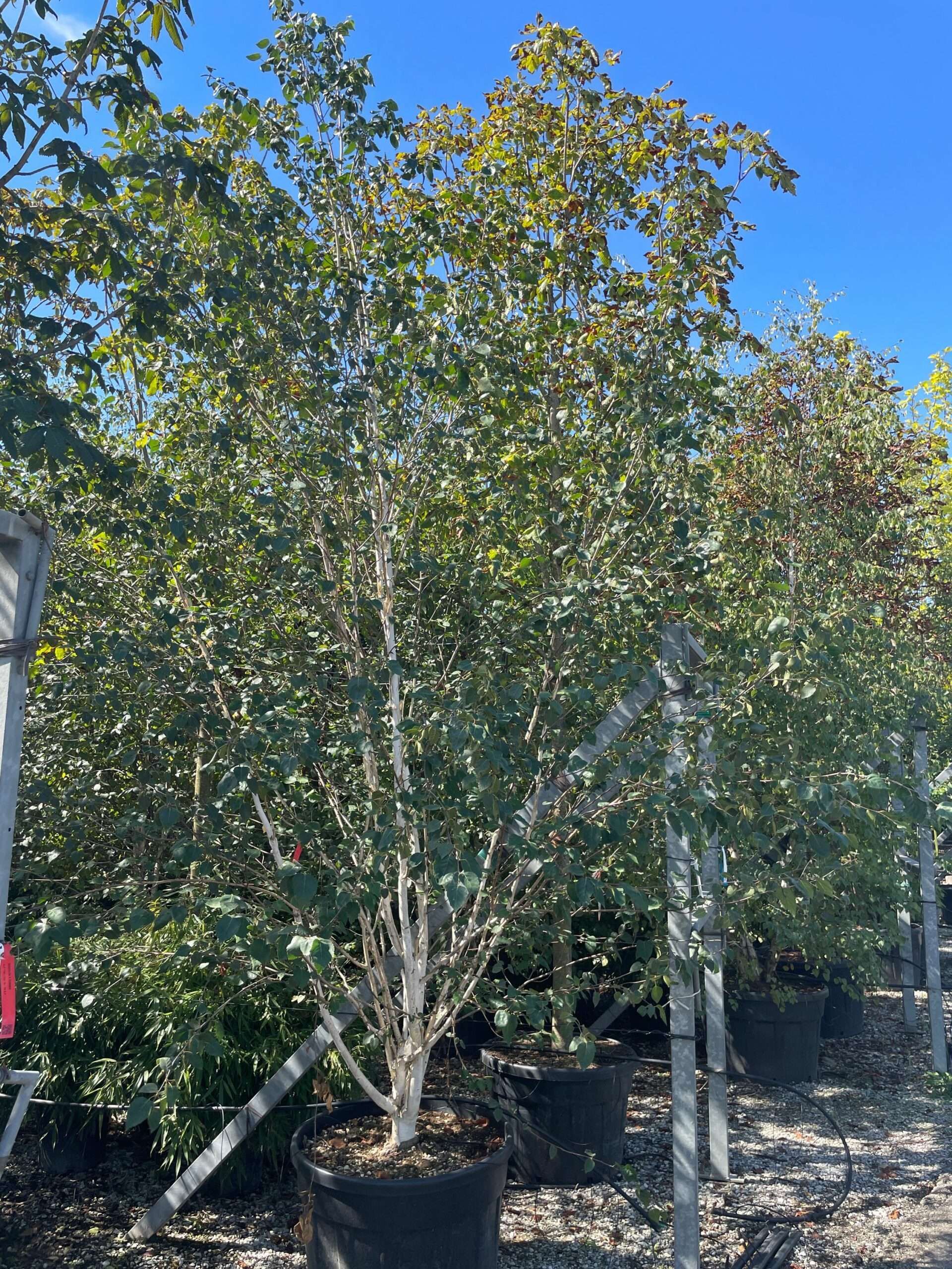 1632306142 scaled 5ad0c91e