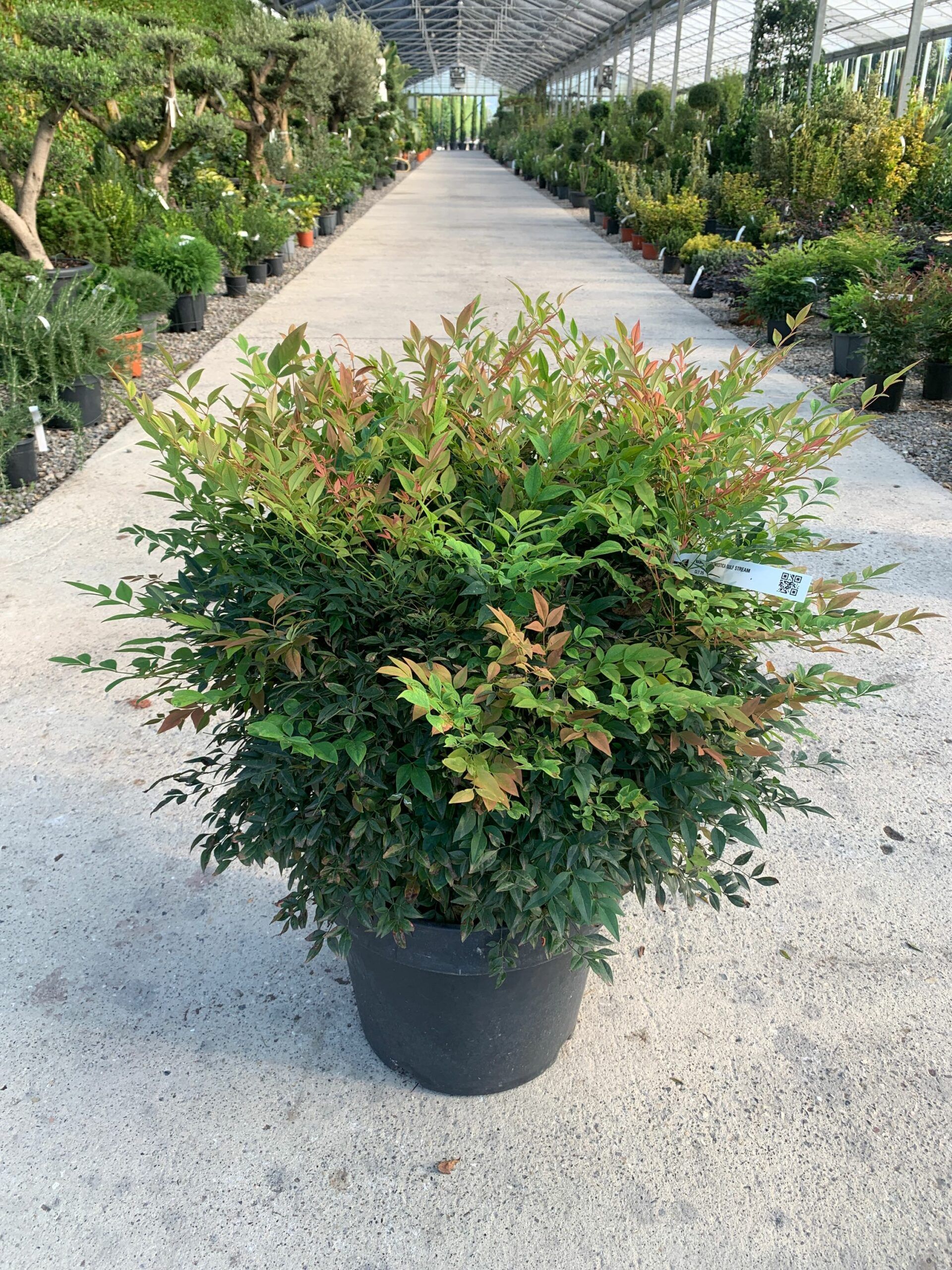 1632813040 scaled 5a45a7aa