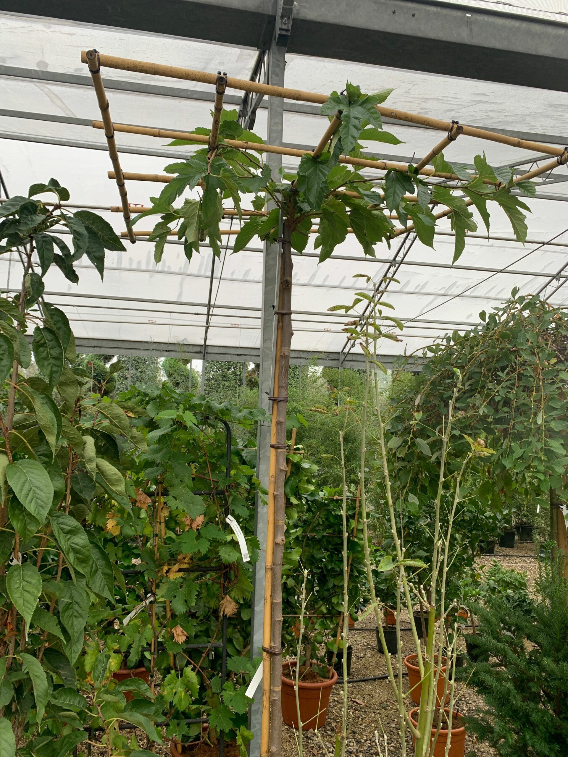 1633335412 scaled 5a7822da