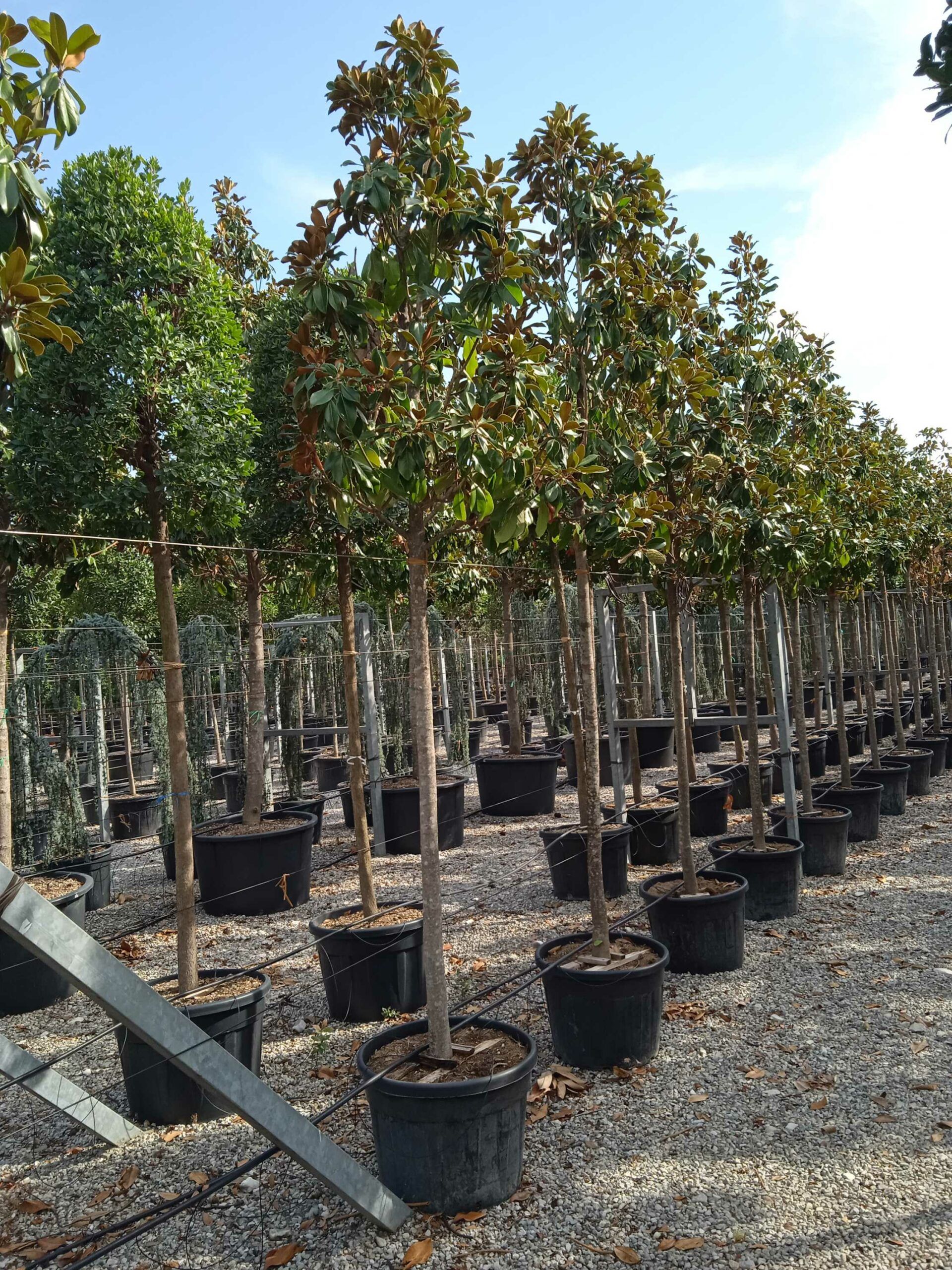 1661869206 scaled 5a3a0e9d