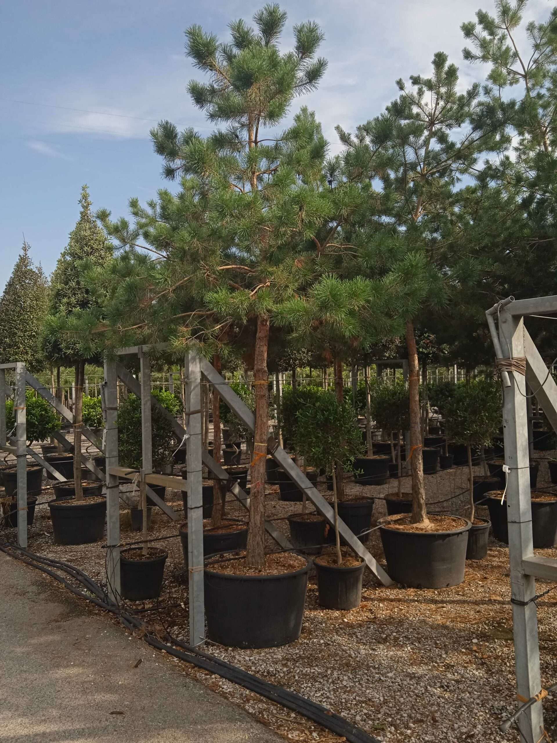 1661870319 scaled 5ab6c9c4