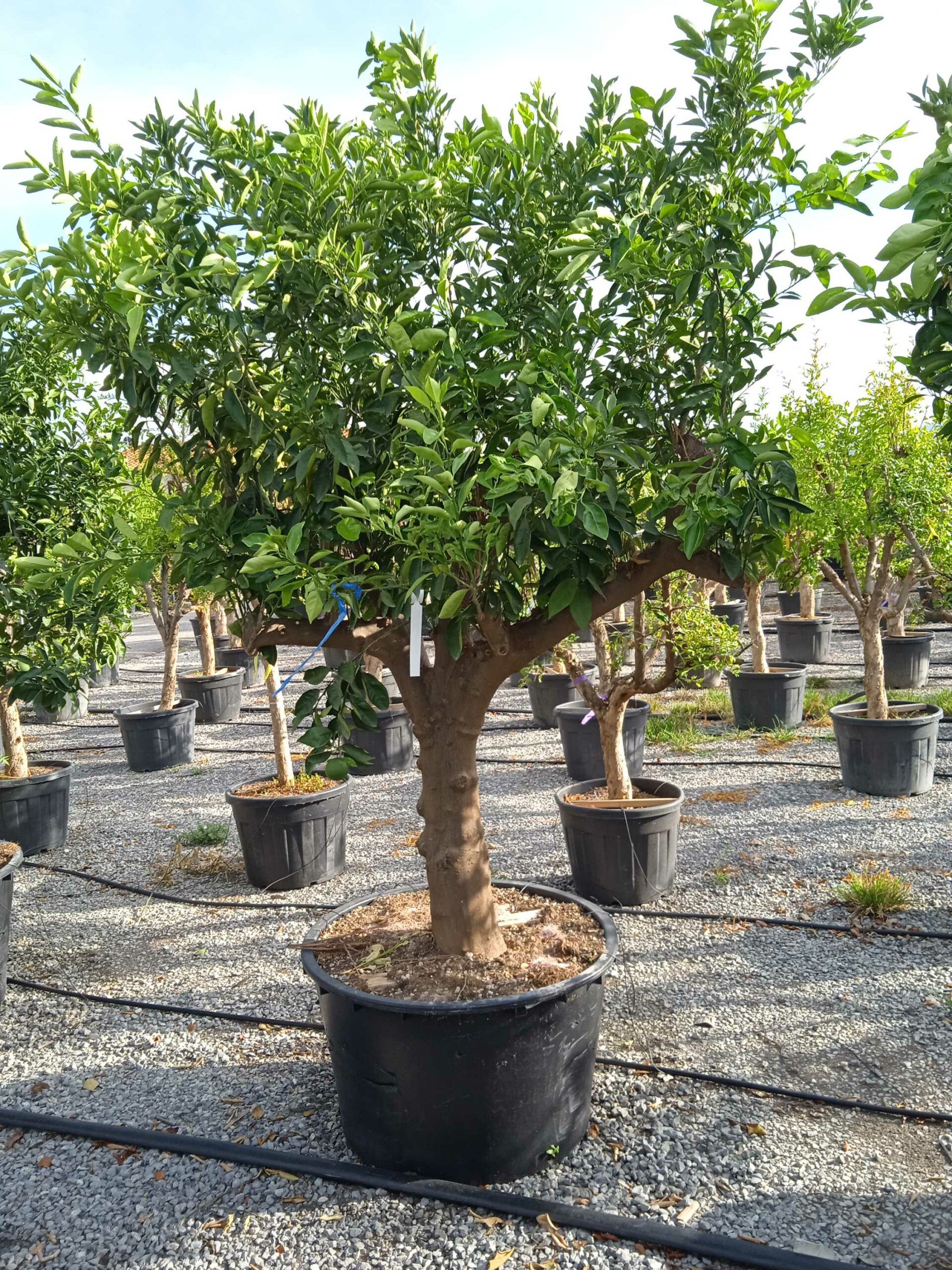 1661960418 scaled 5a0b94ec