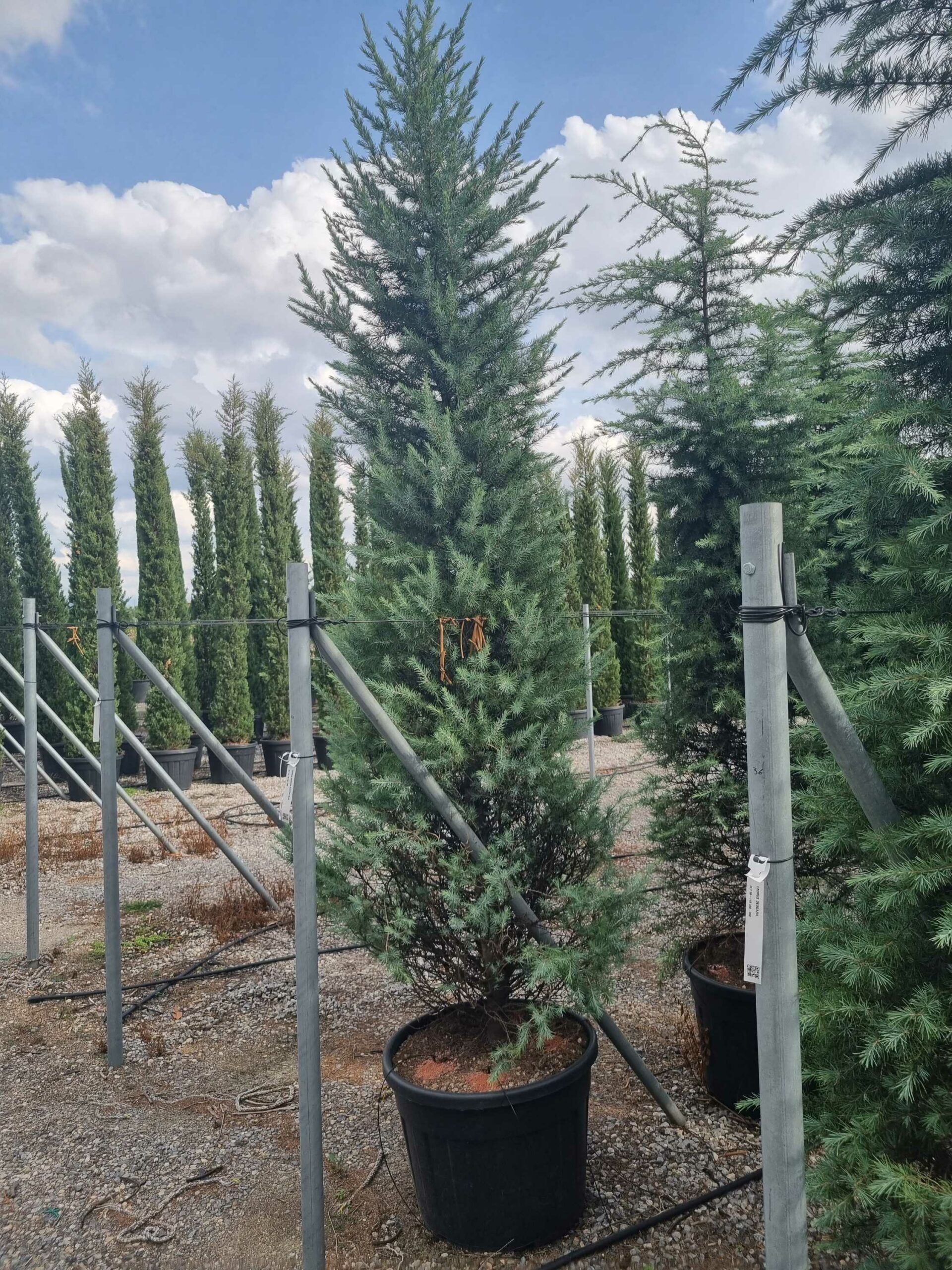 1663166607 scaled 5a49b866