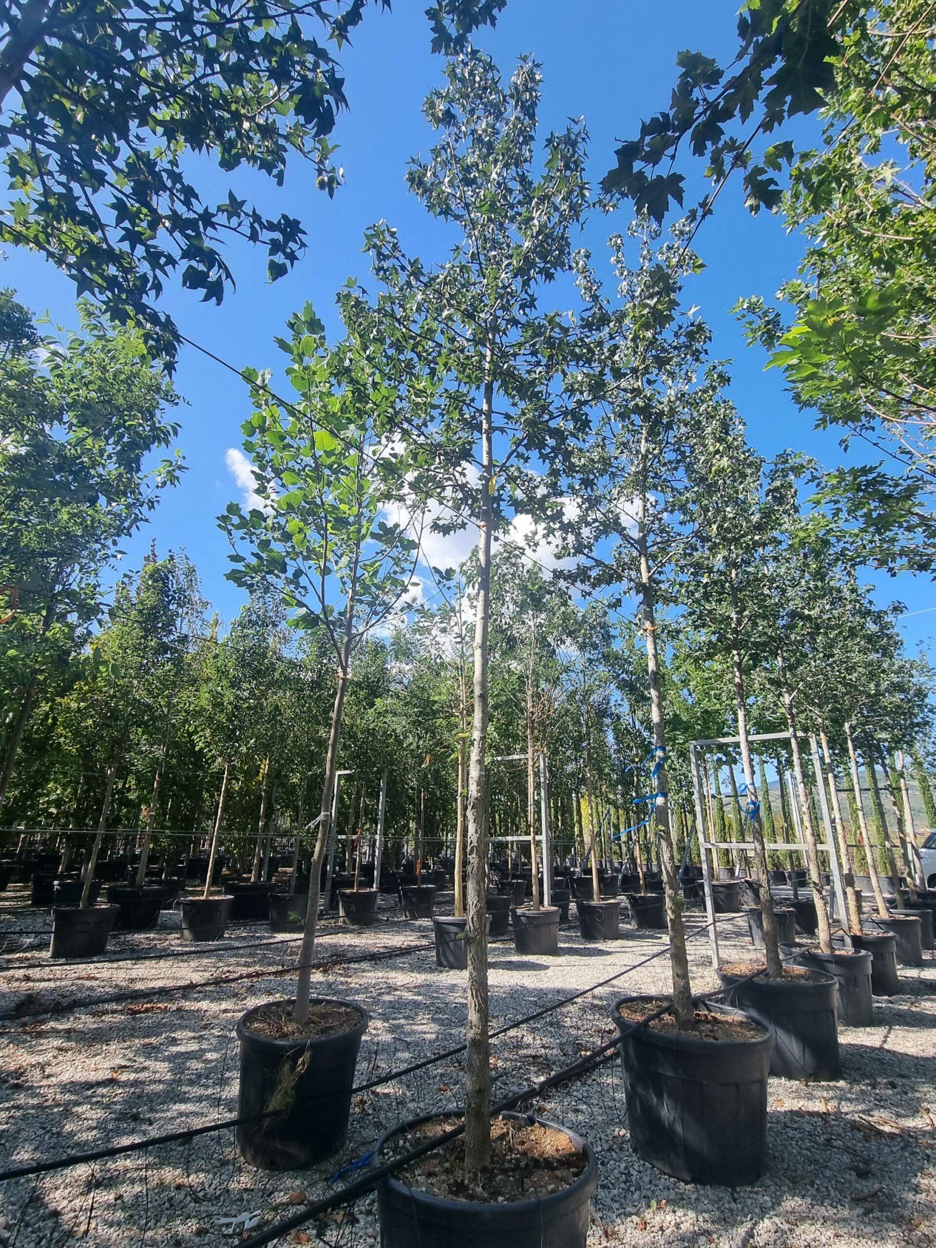 1695647520 scaled 5aeb40d4