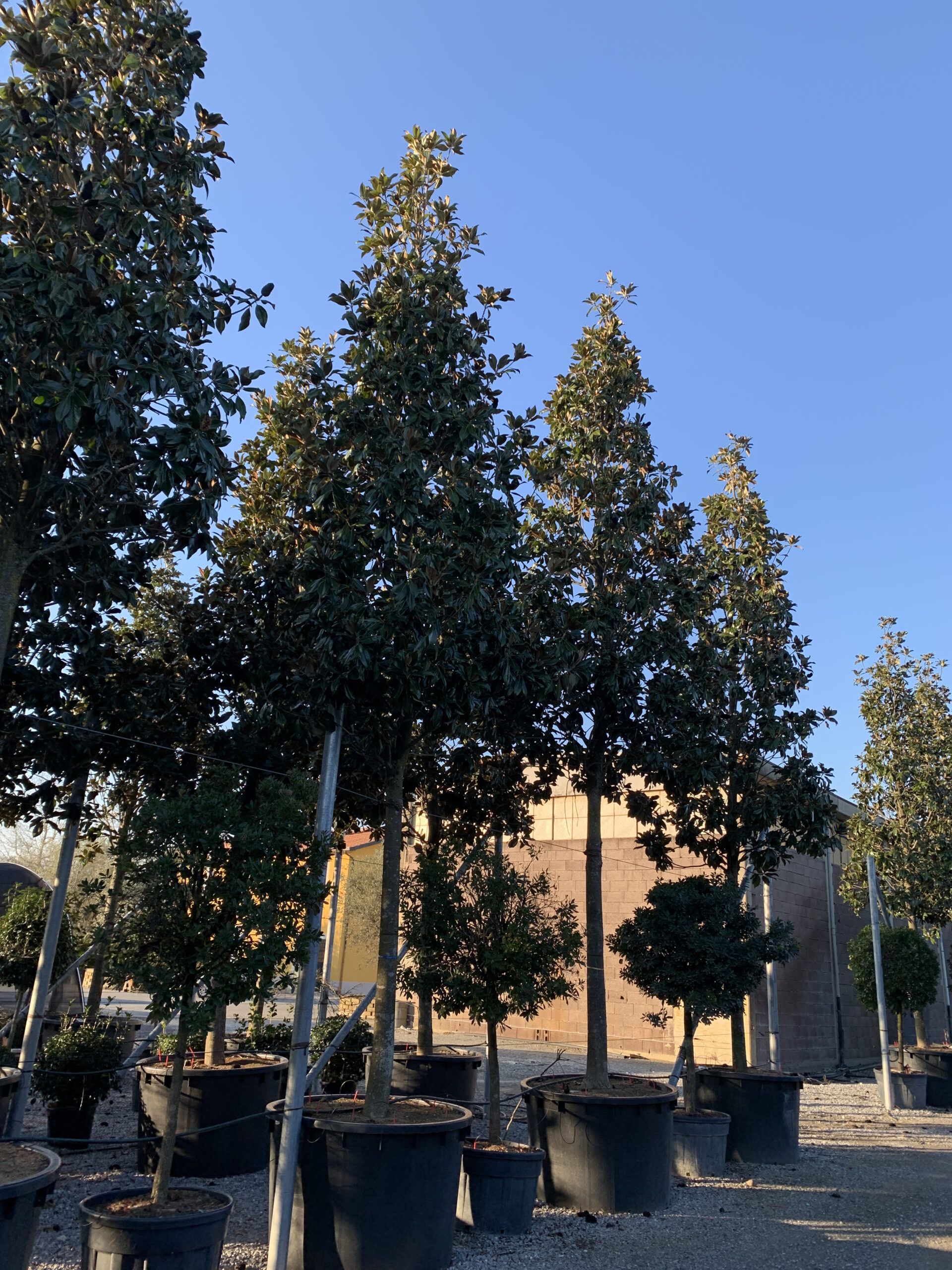 1610982592 1 scaled 5be1f031