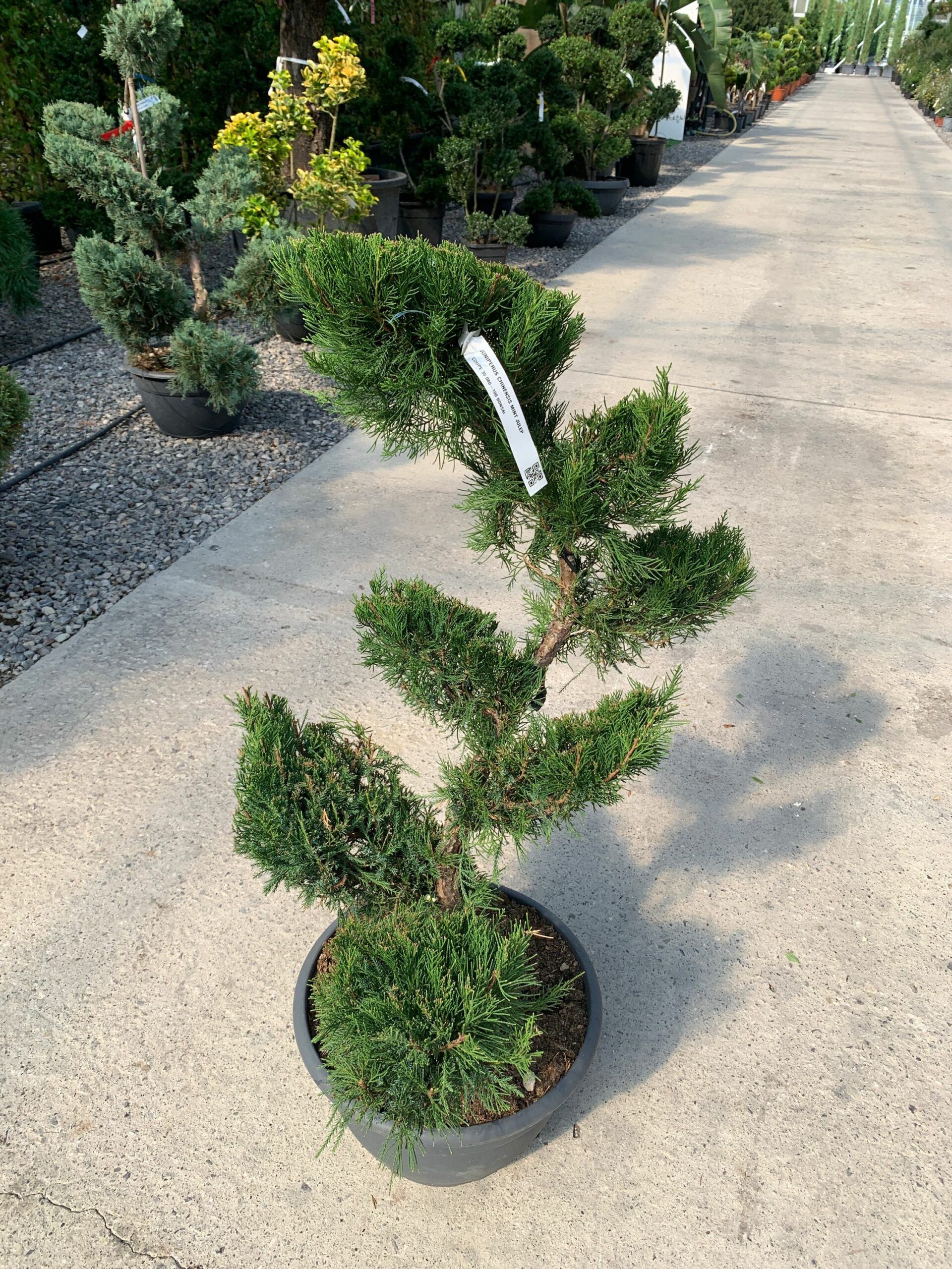 1632832896 scaled 5b96b06c