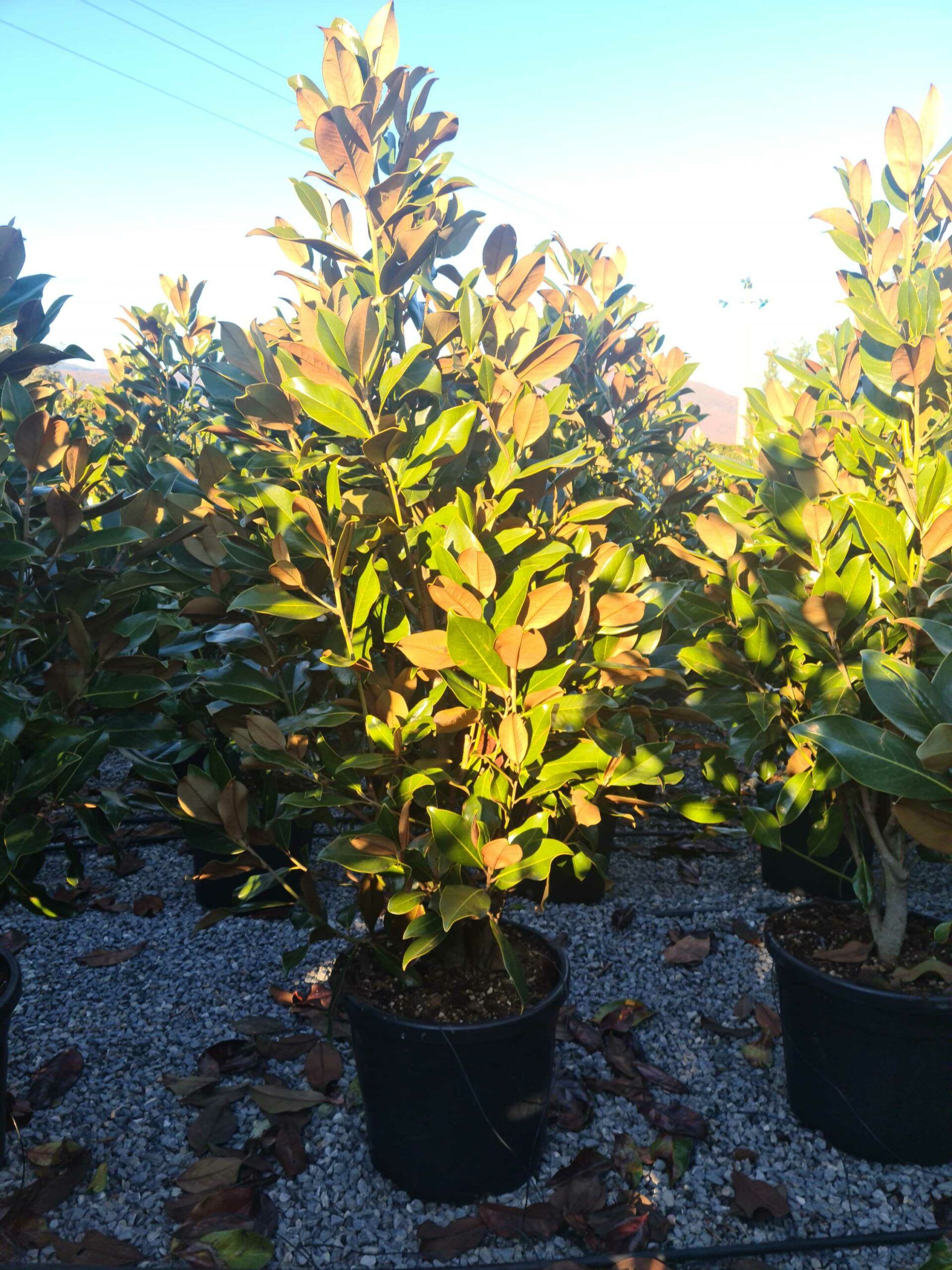 1639663928 scaled 5b8df67a