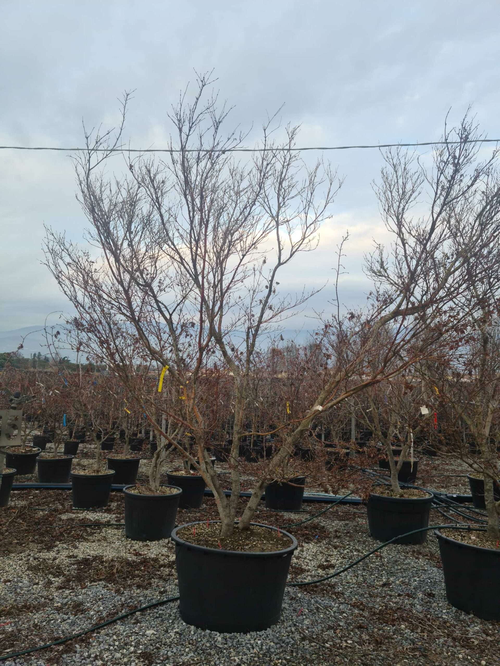 1640097882 scaled 5b74af3e