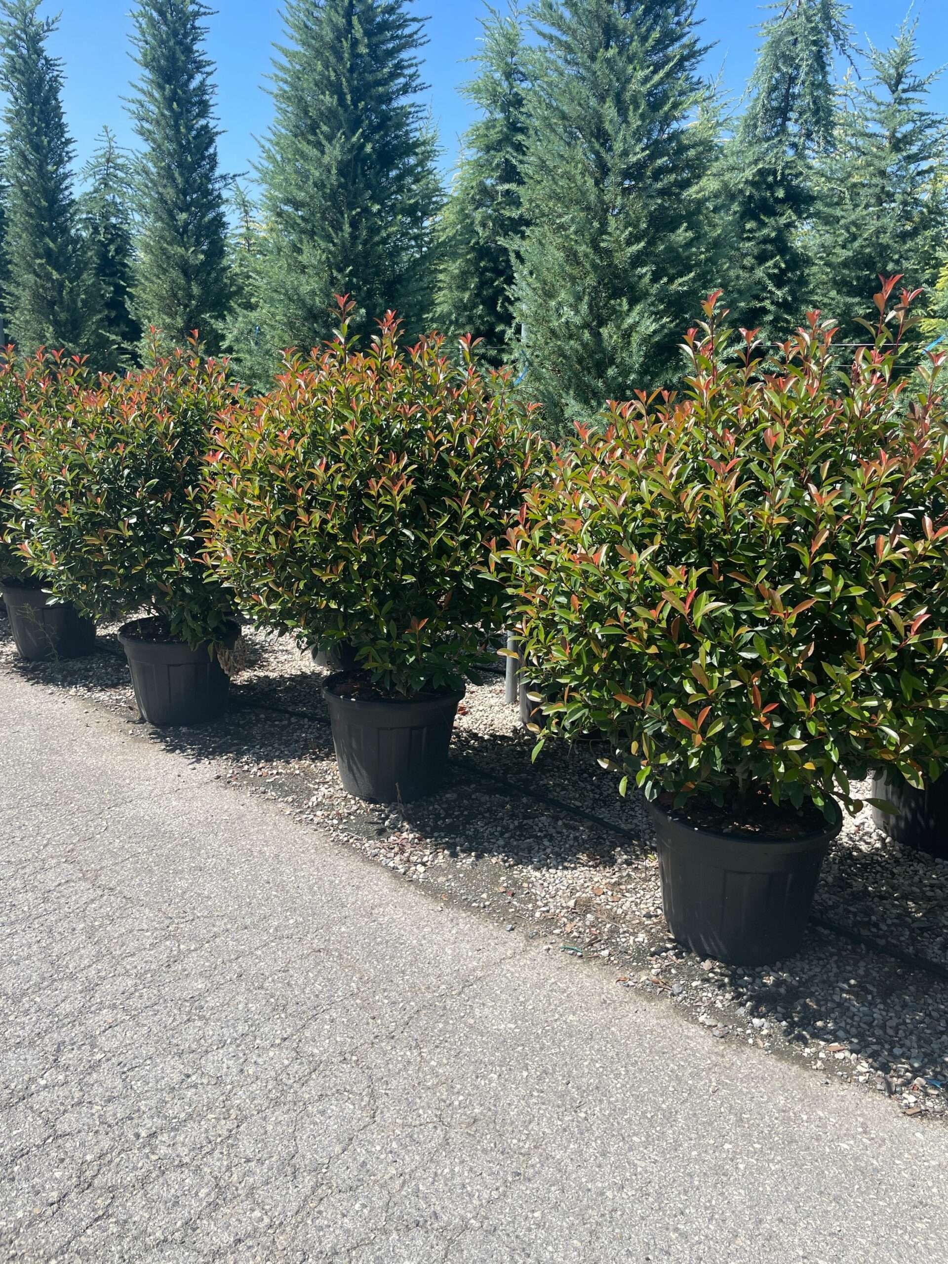 1691402852 scaled 5b12b8bc