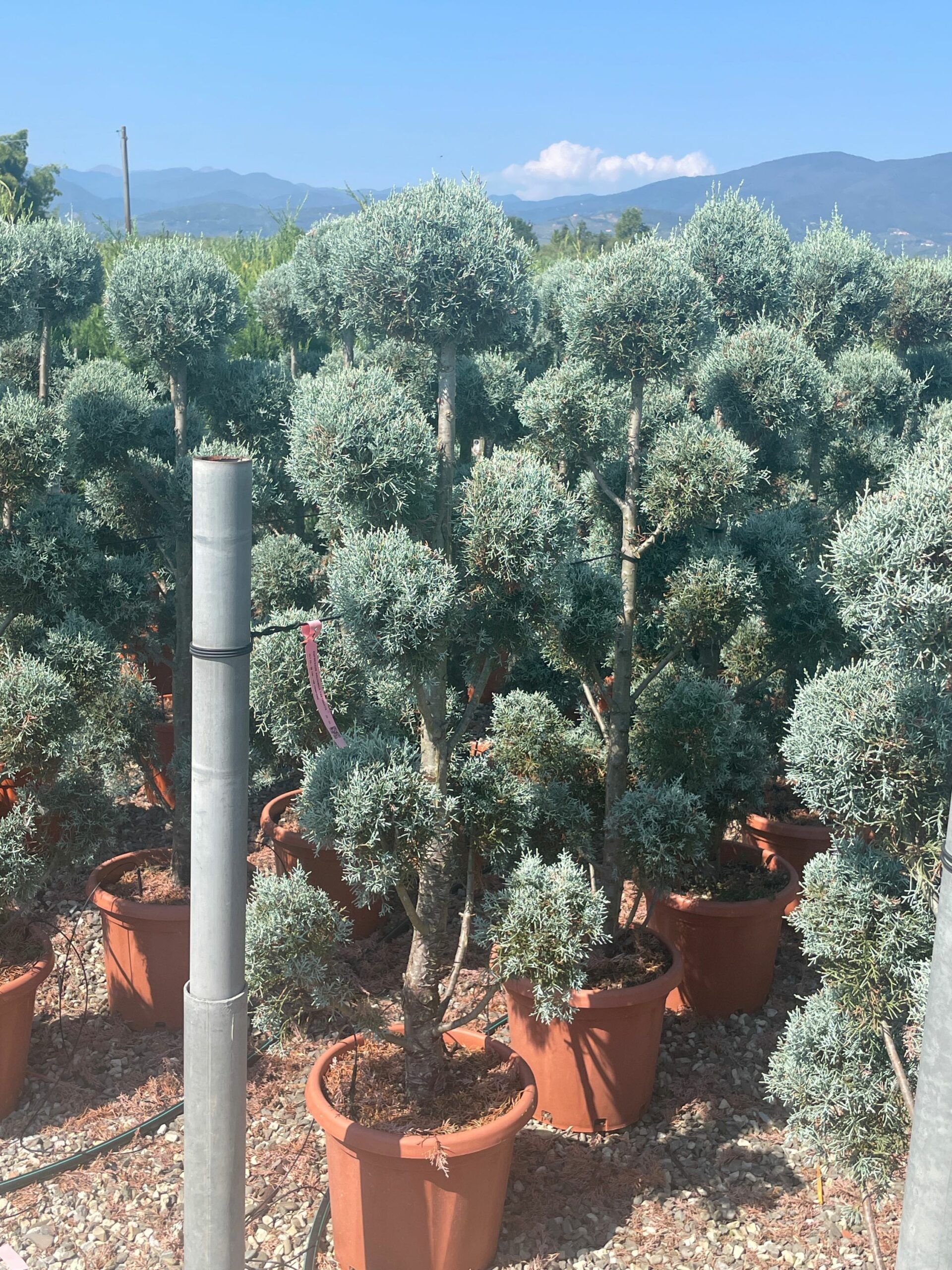 1692968305 scaled 5ba74afb