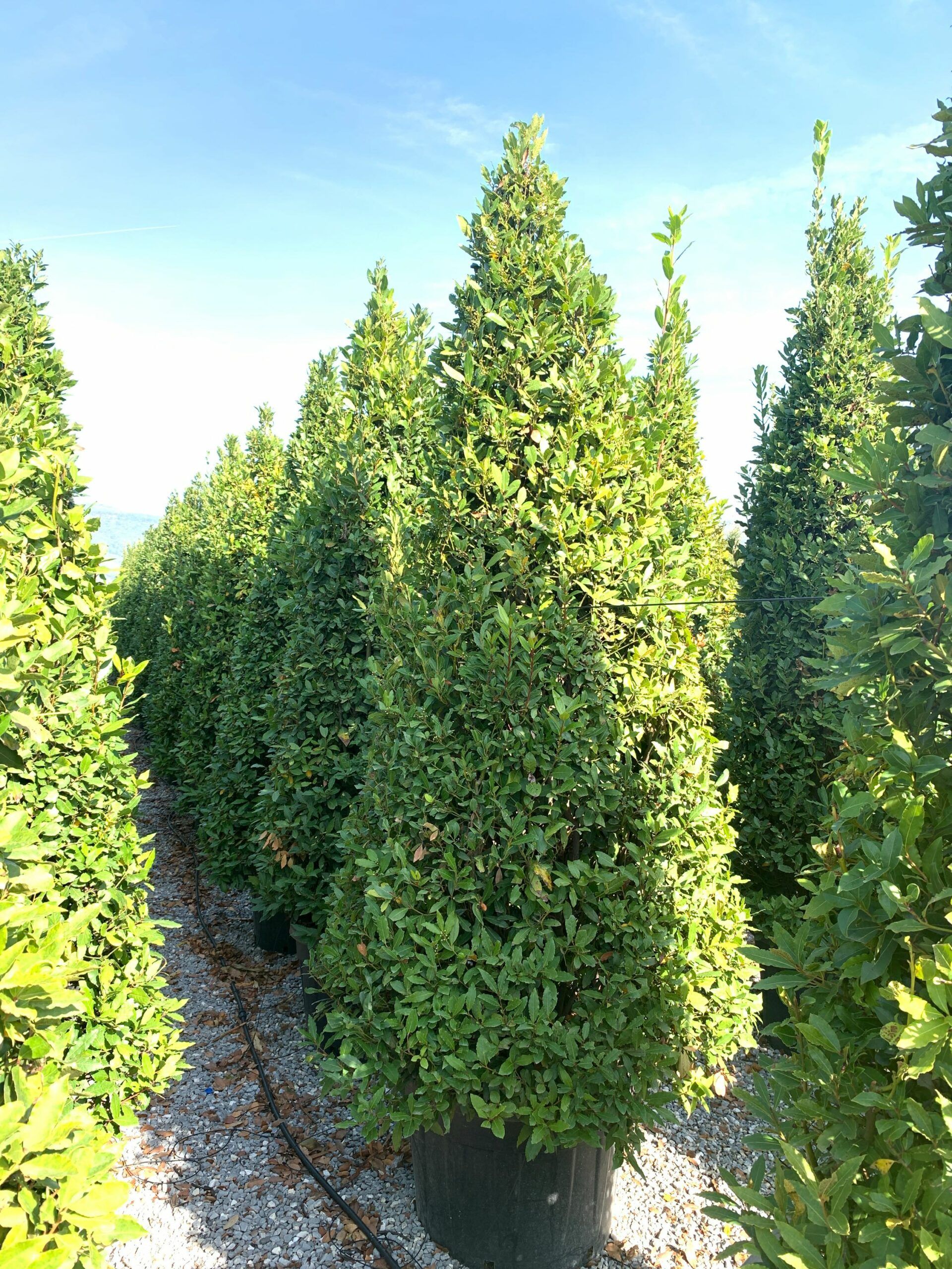 1635503030 scaled 5c1c4750