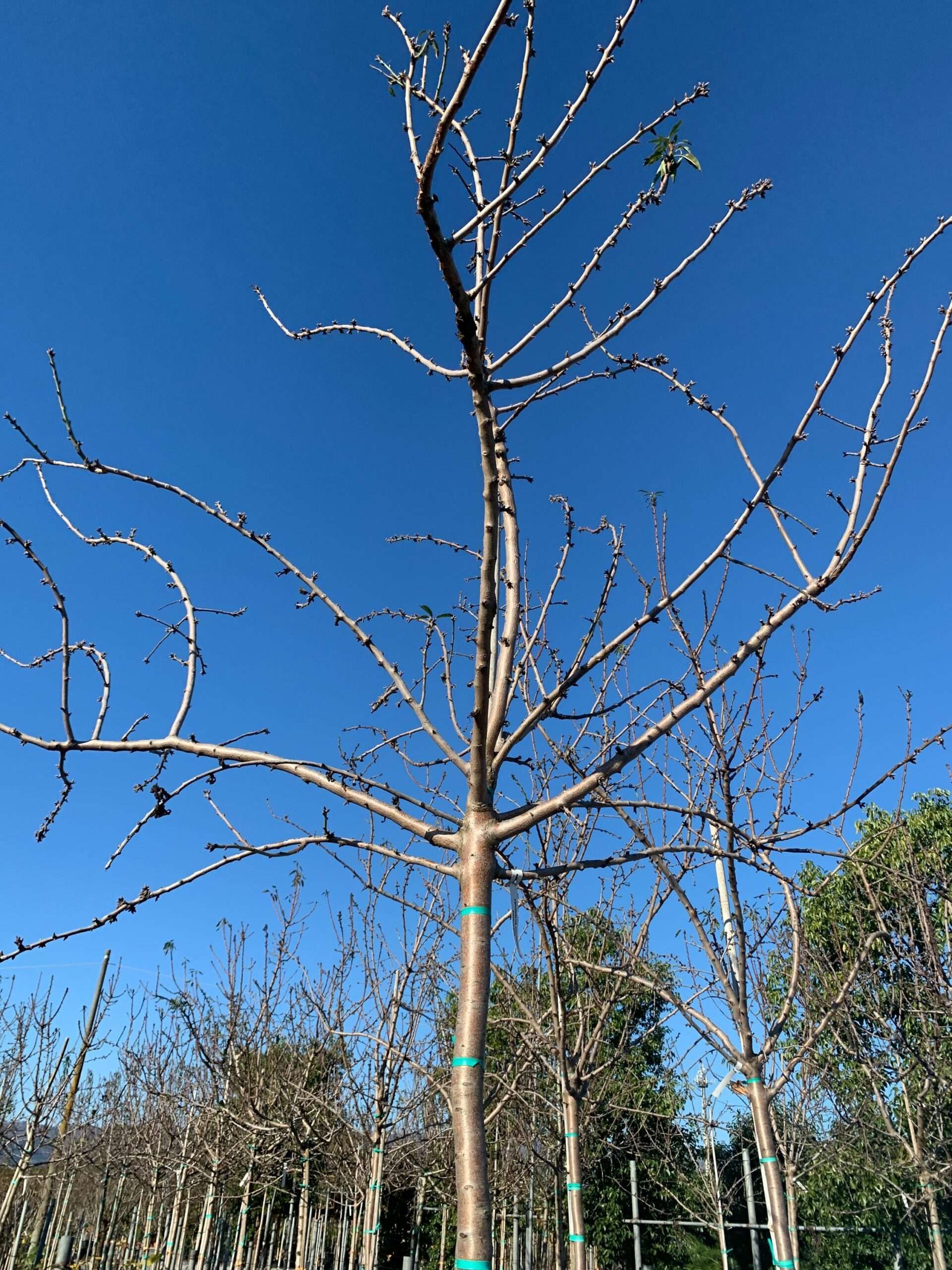 1637747513 scaled 5c0e9807