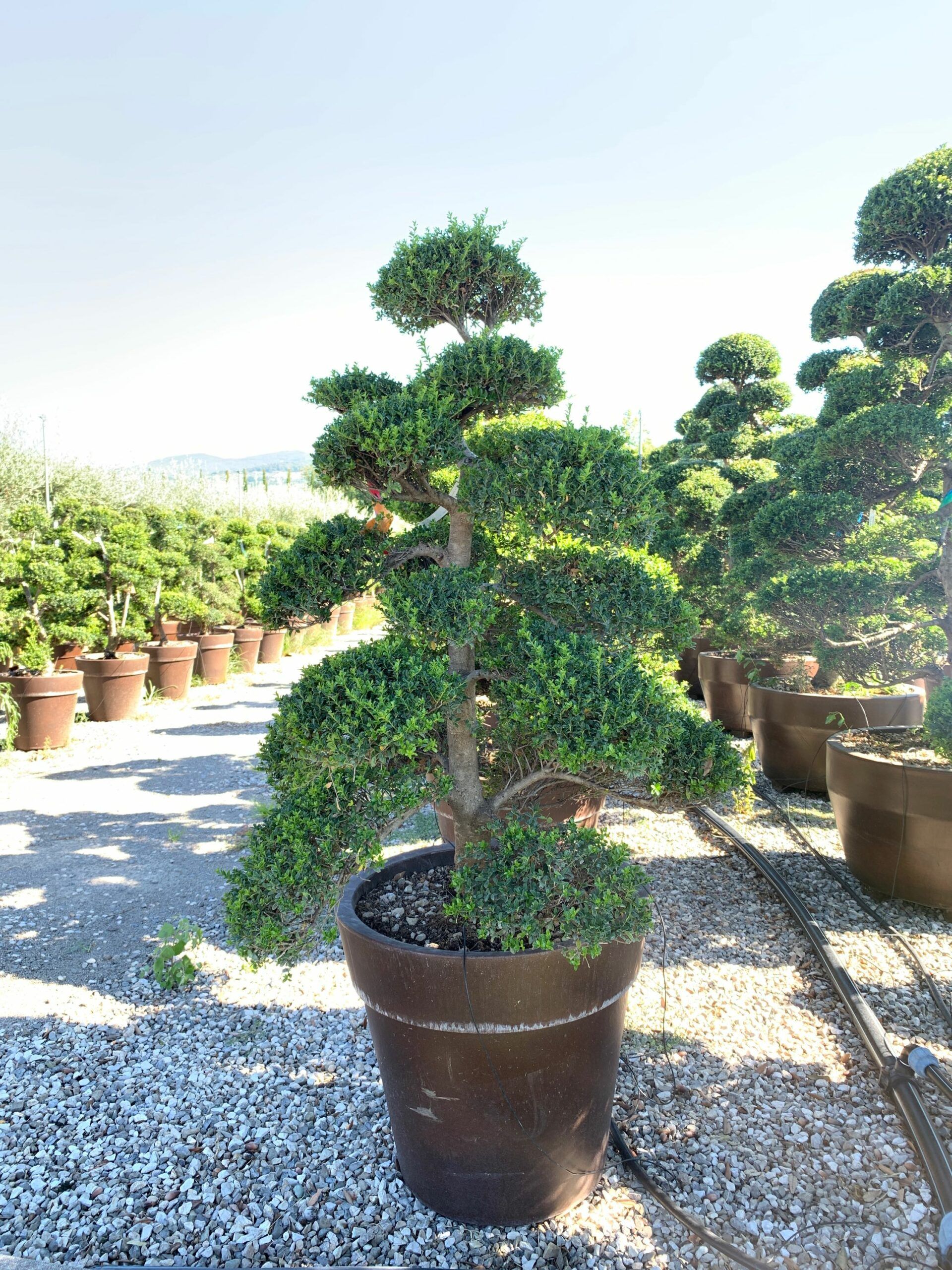 1659598472 scaled 5caf935d