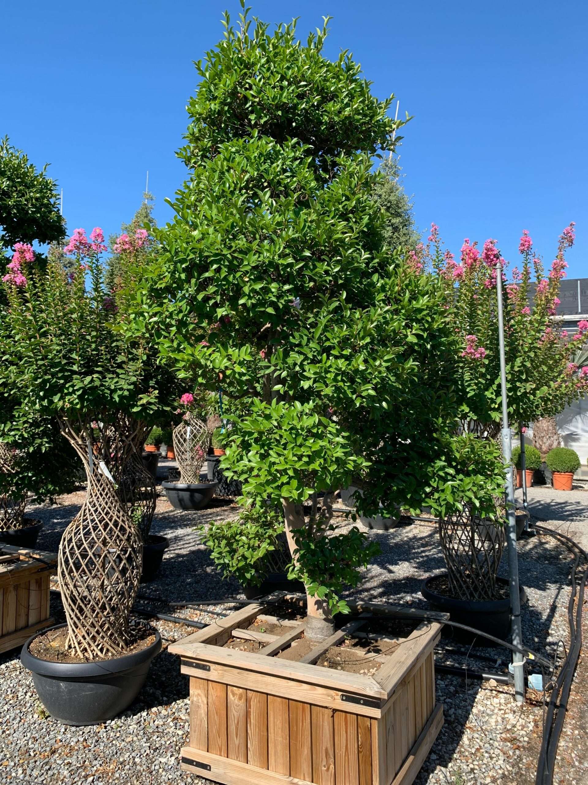 1659599859 scaled 5c1fb906