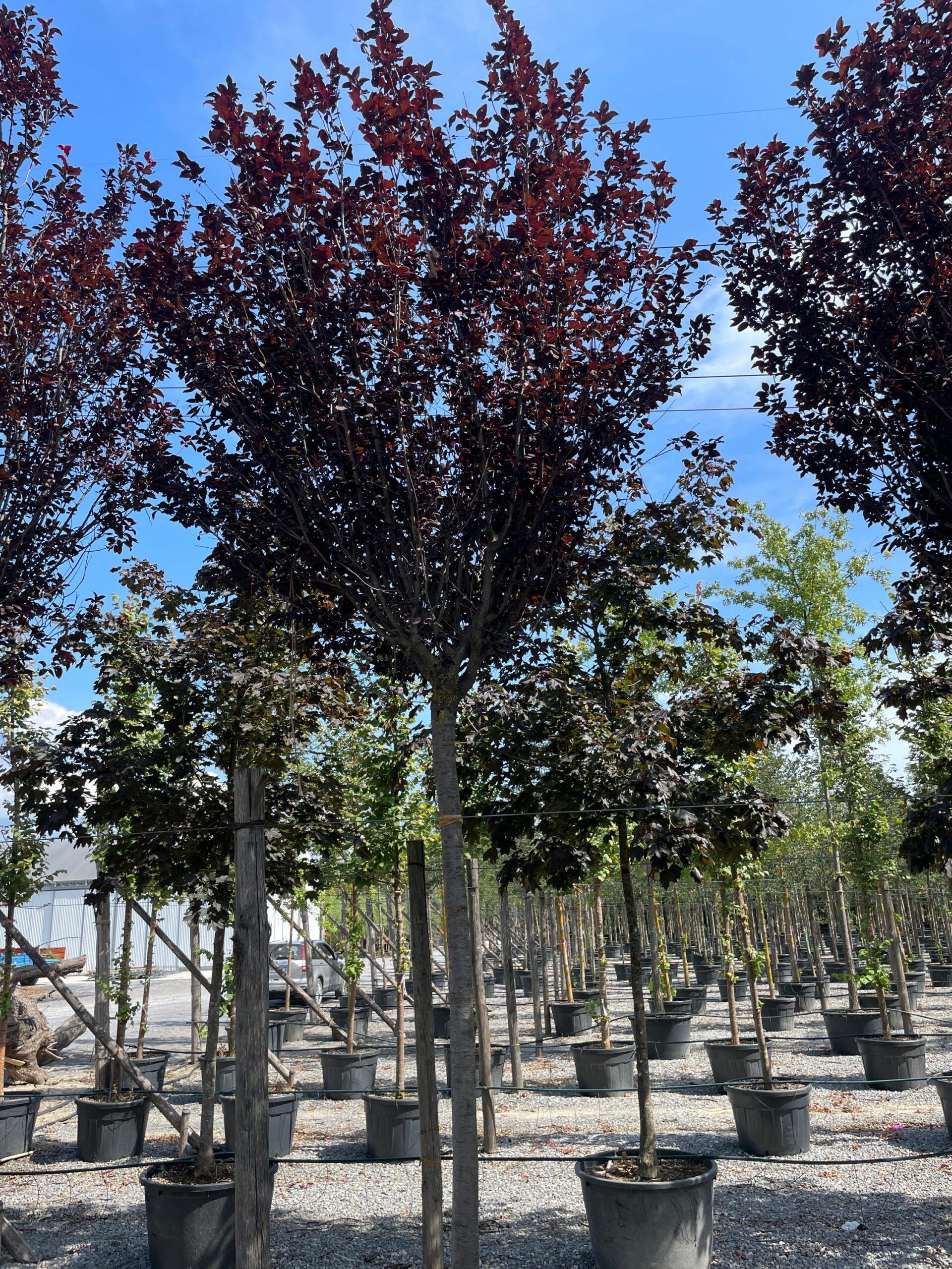 1662123108 scaled 5ca0289e