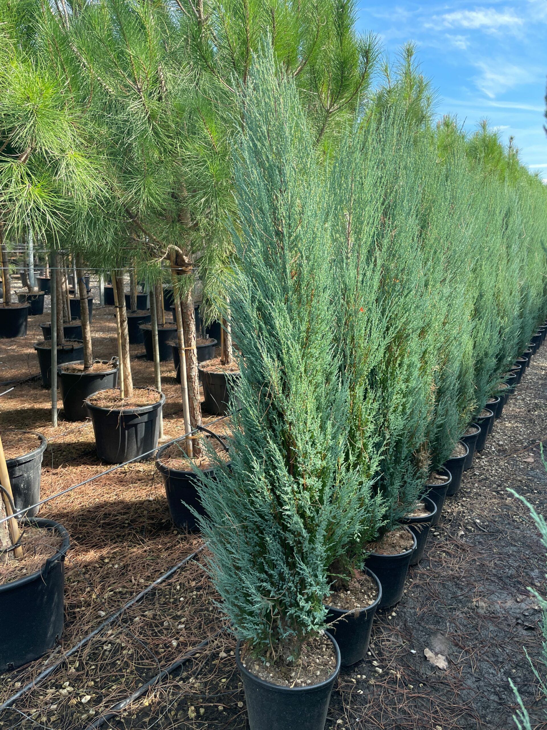 1662127708 scaled 5cbc5a45