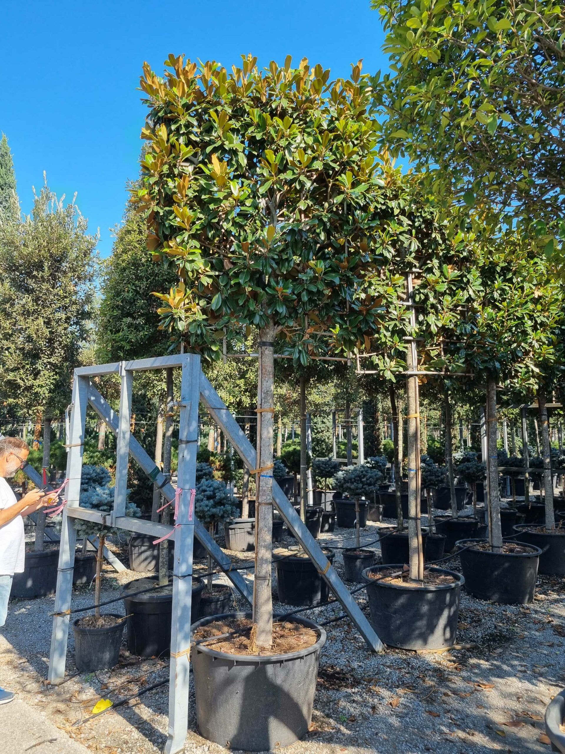 1692605812 scaled 5c9168fa