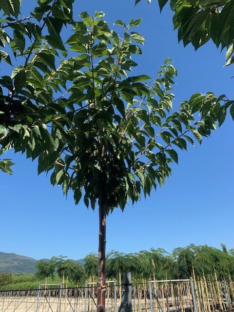 1603097238 rotated 5df7e34a