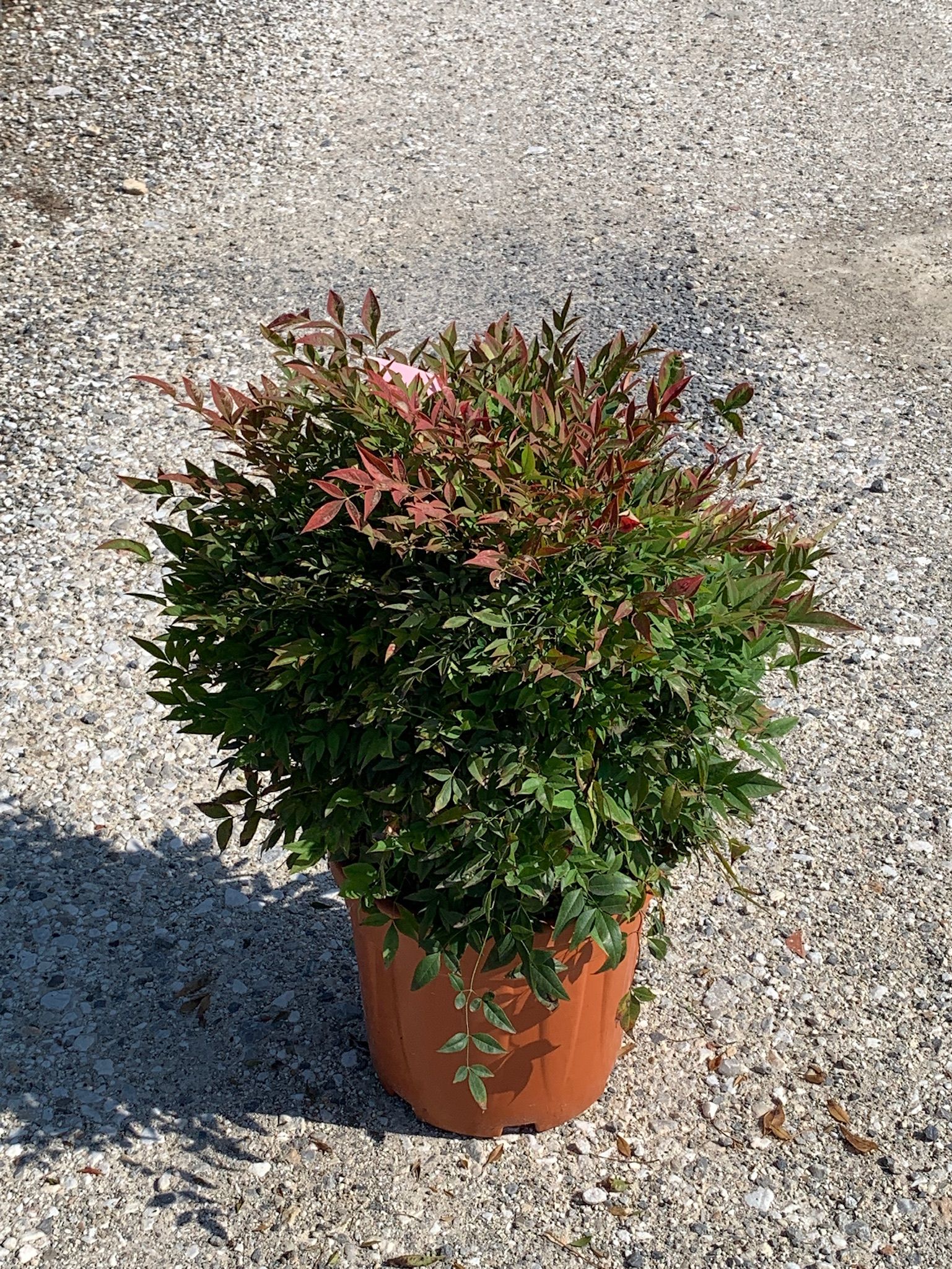 1629971545 01a7a7d908bb74bc9eb3cdc456b3d56637737d8508 5dda010a