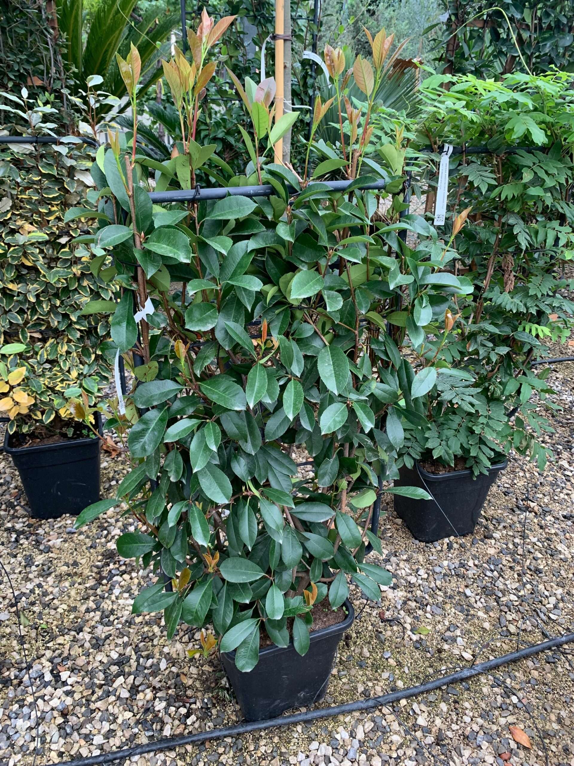 1633335541 scaled 5d4be57a