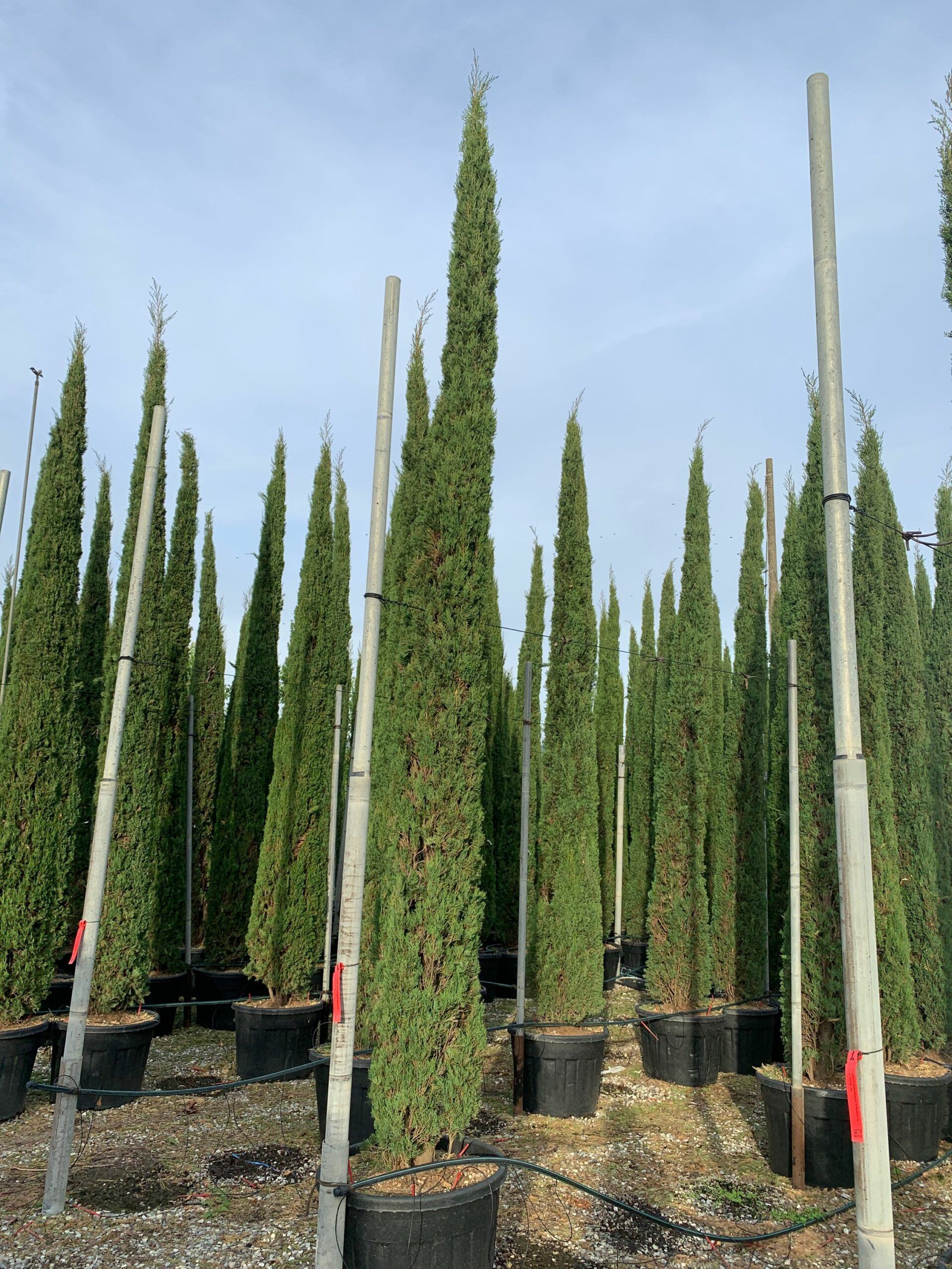 1635173206 scaled 5d5557fb