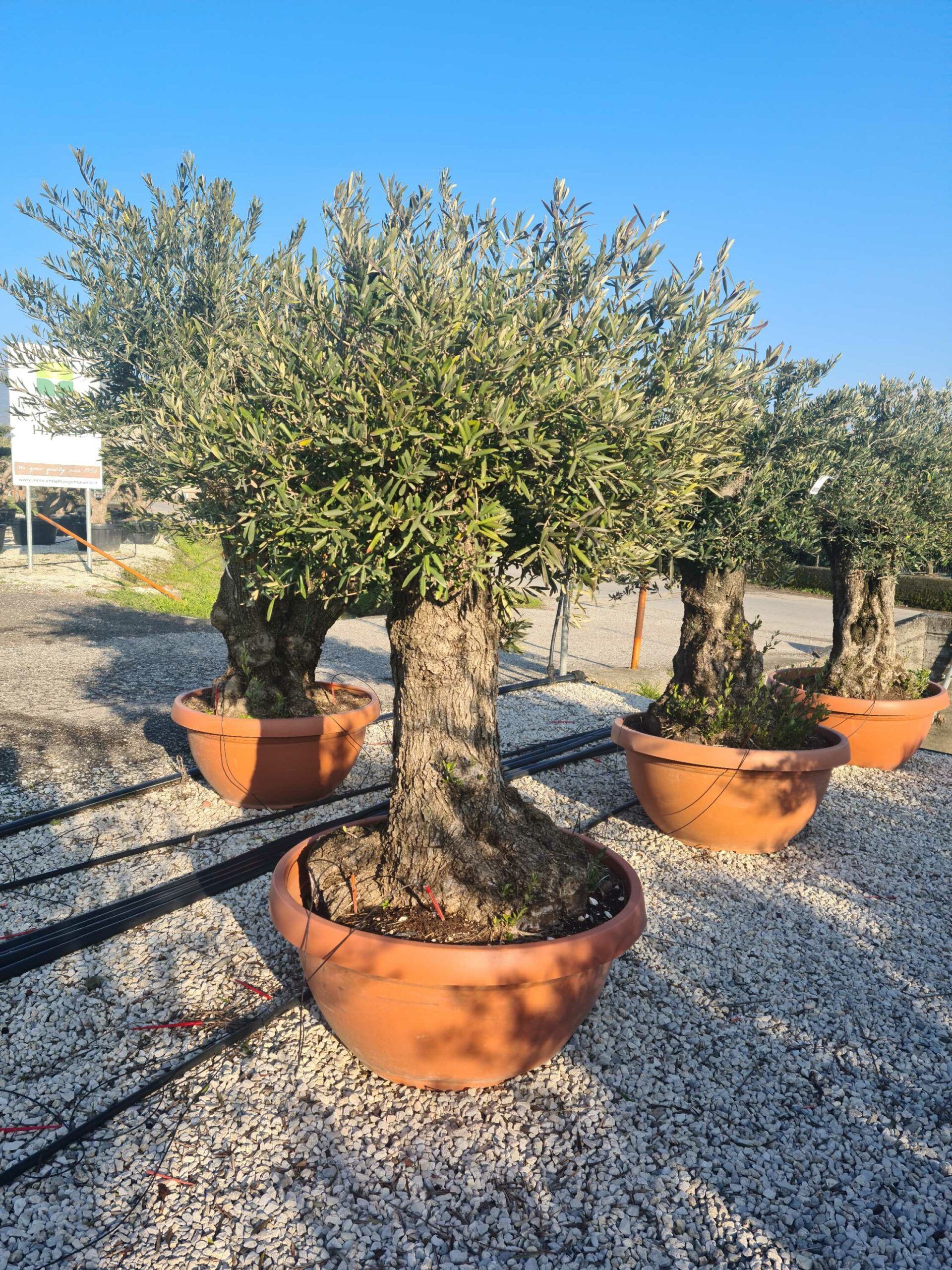 1642774121 scaled 5d4cec49