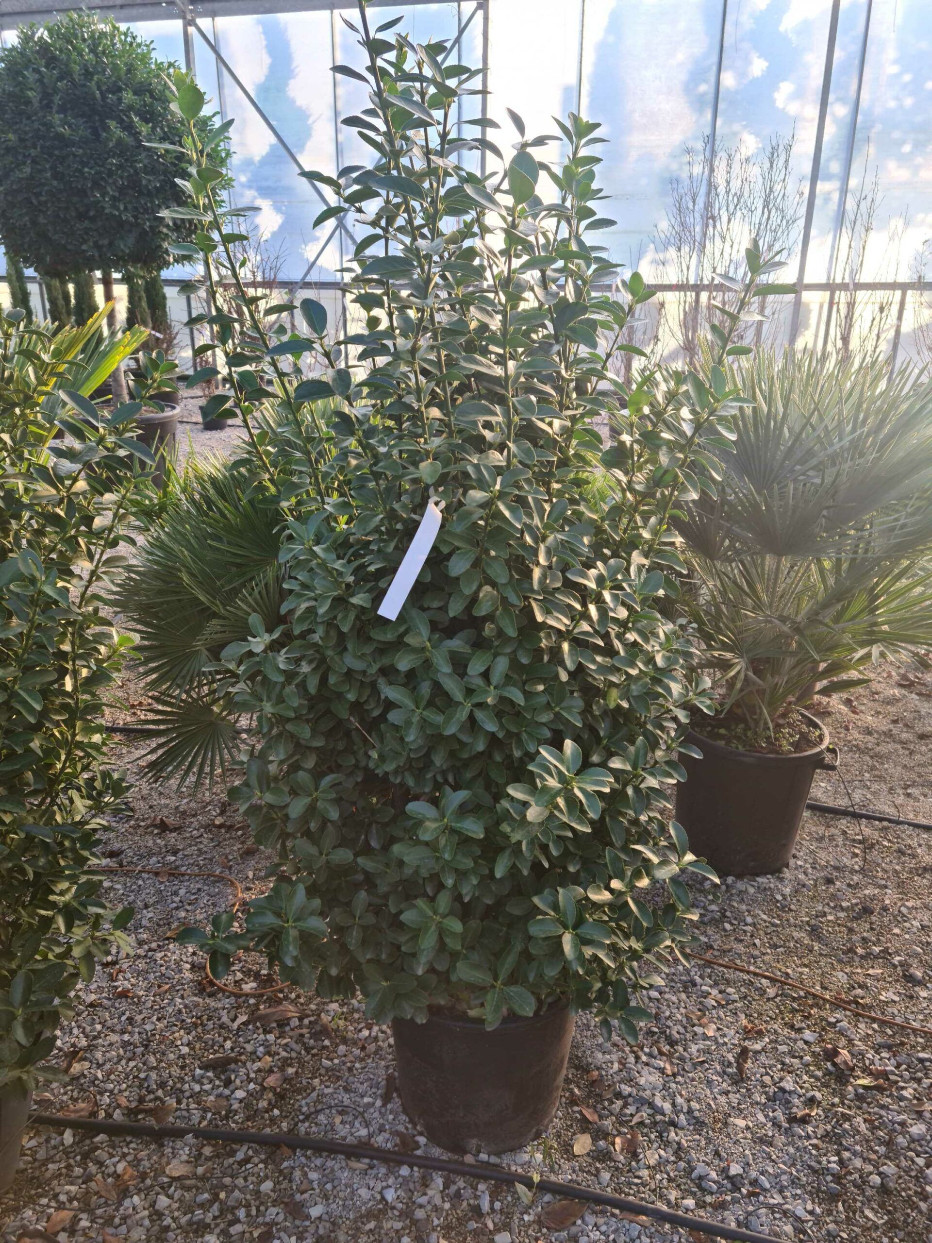 1643096889 scaled 5daafd3c