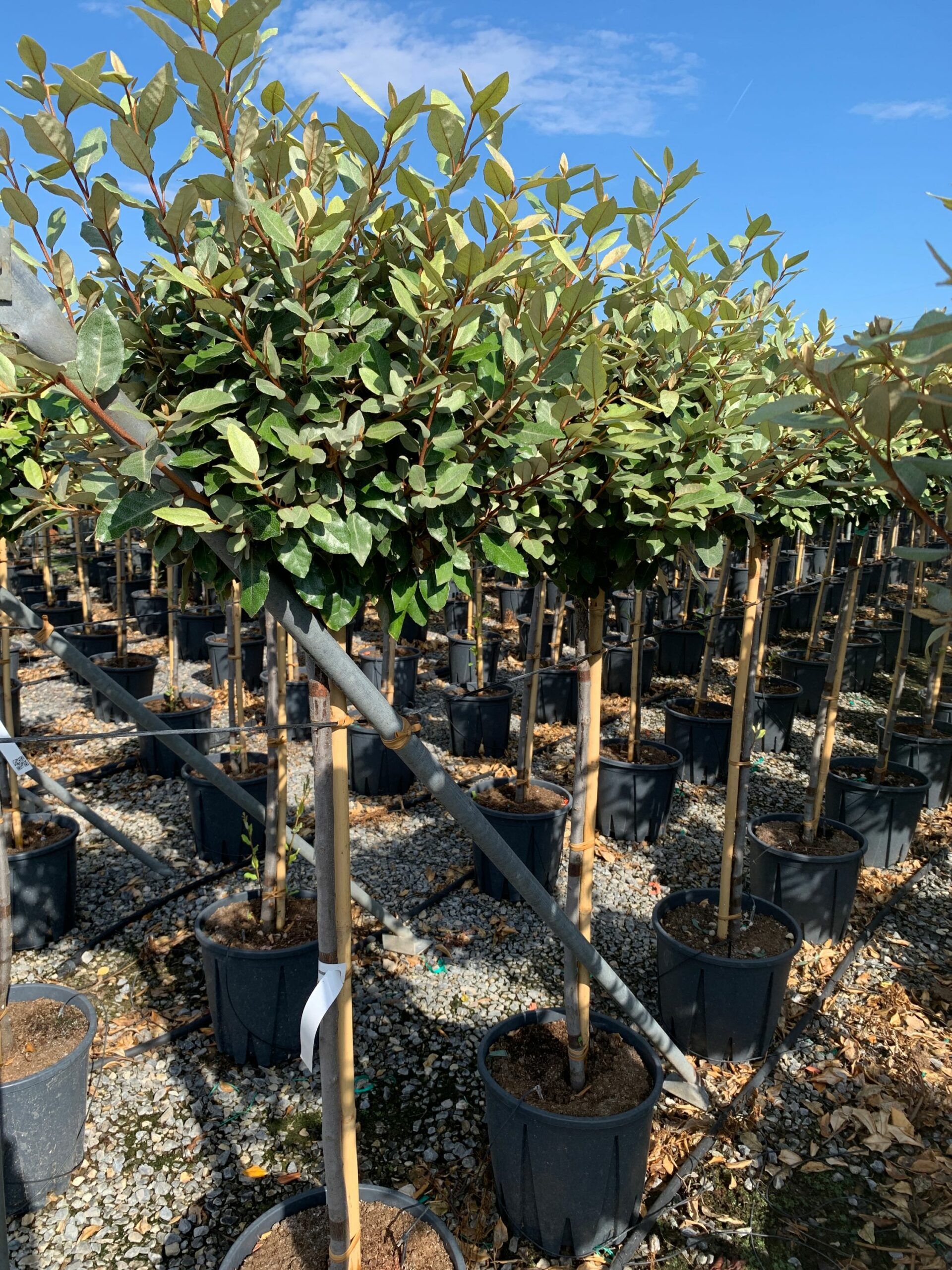 1662106003 scaled 5da6fcd7