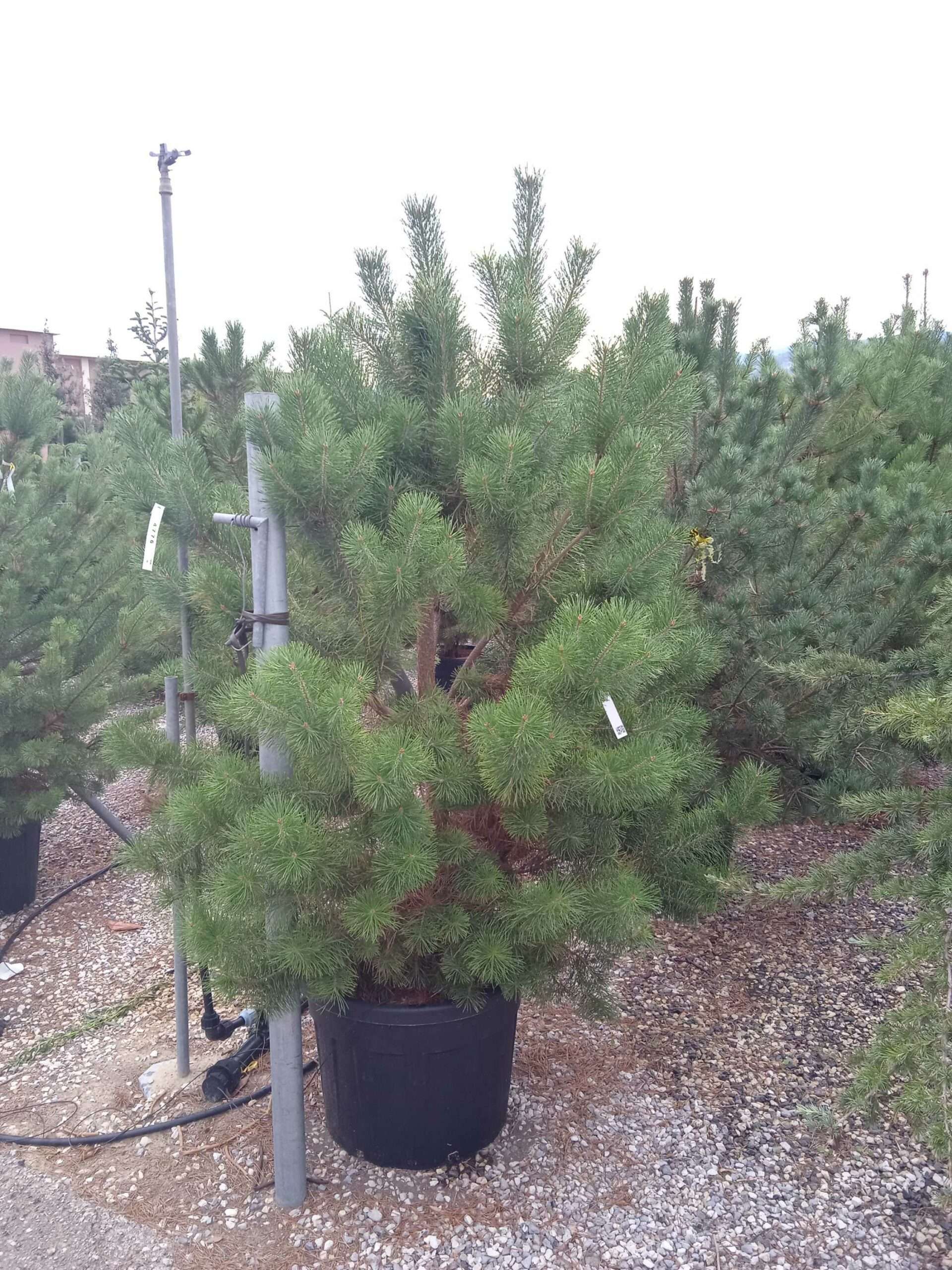 1662186830 scaled 5d1e1fdf