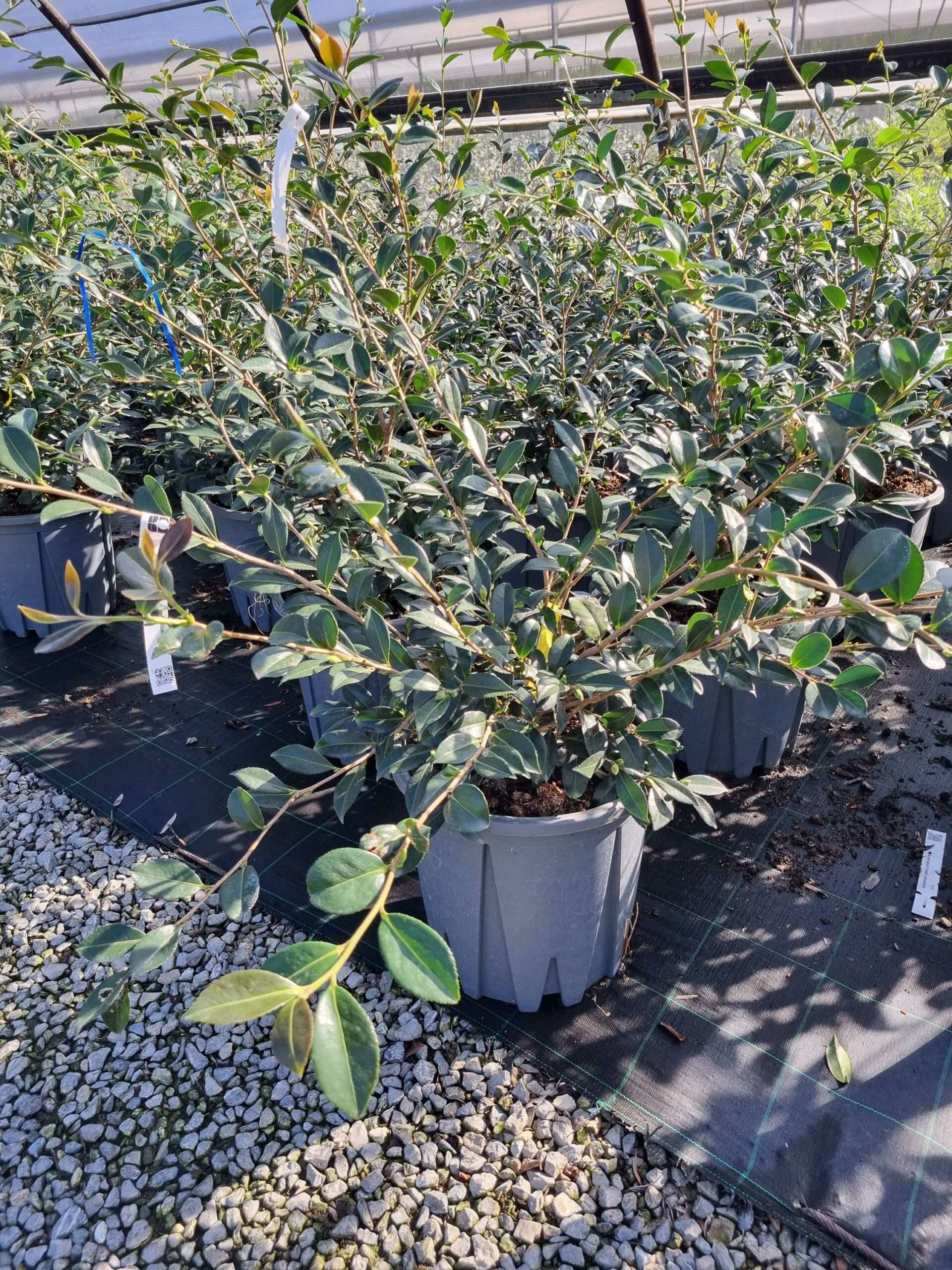 1663573437 scaled 5db7935a