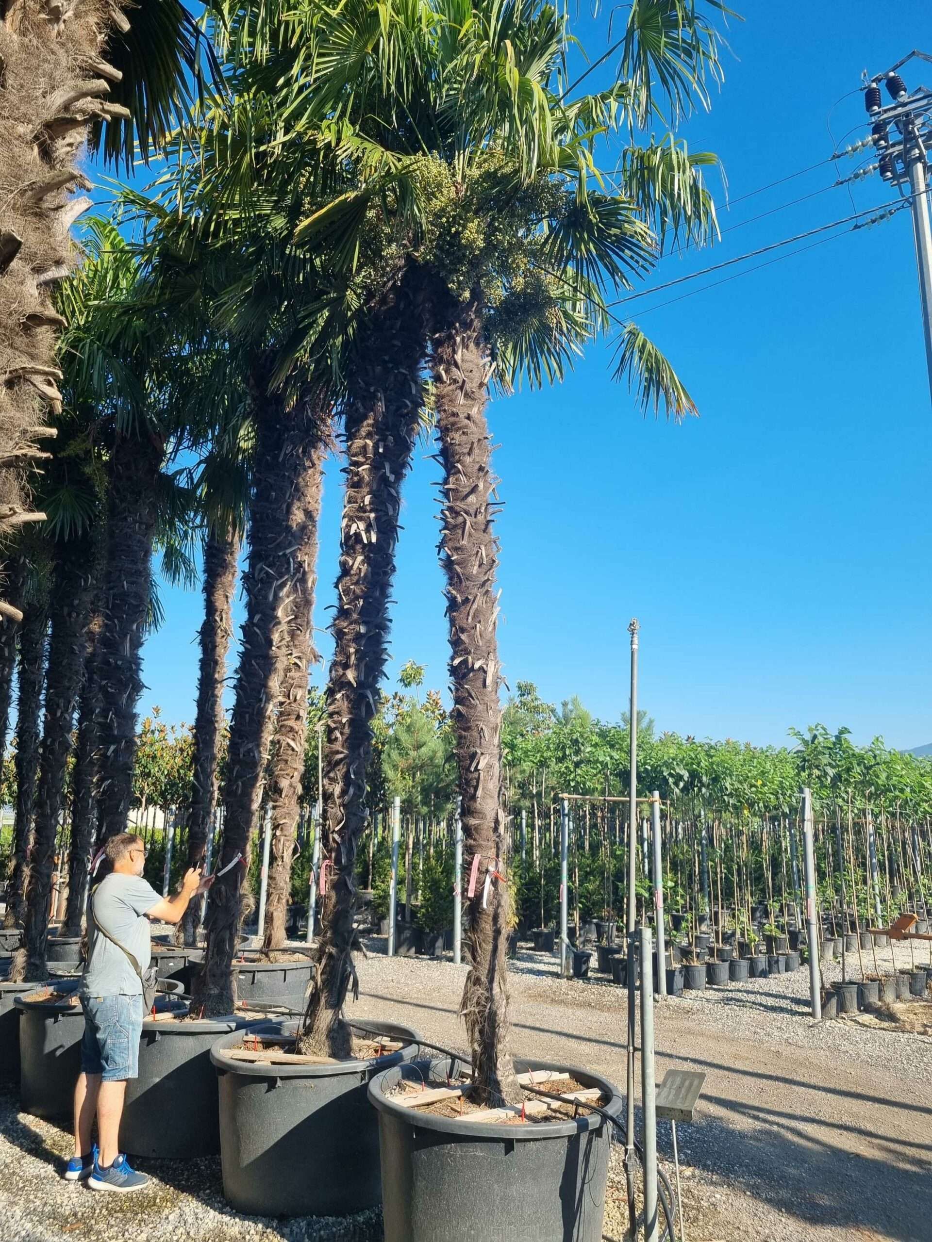 1692687773 scaled 5d768841