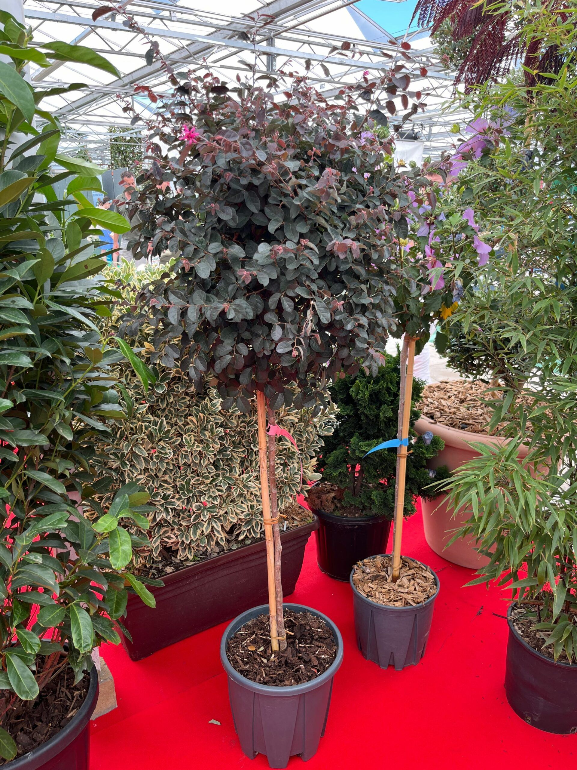 1693915583 scaled 5d6debbd