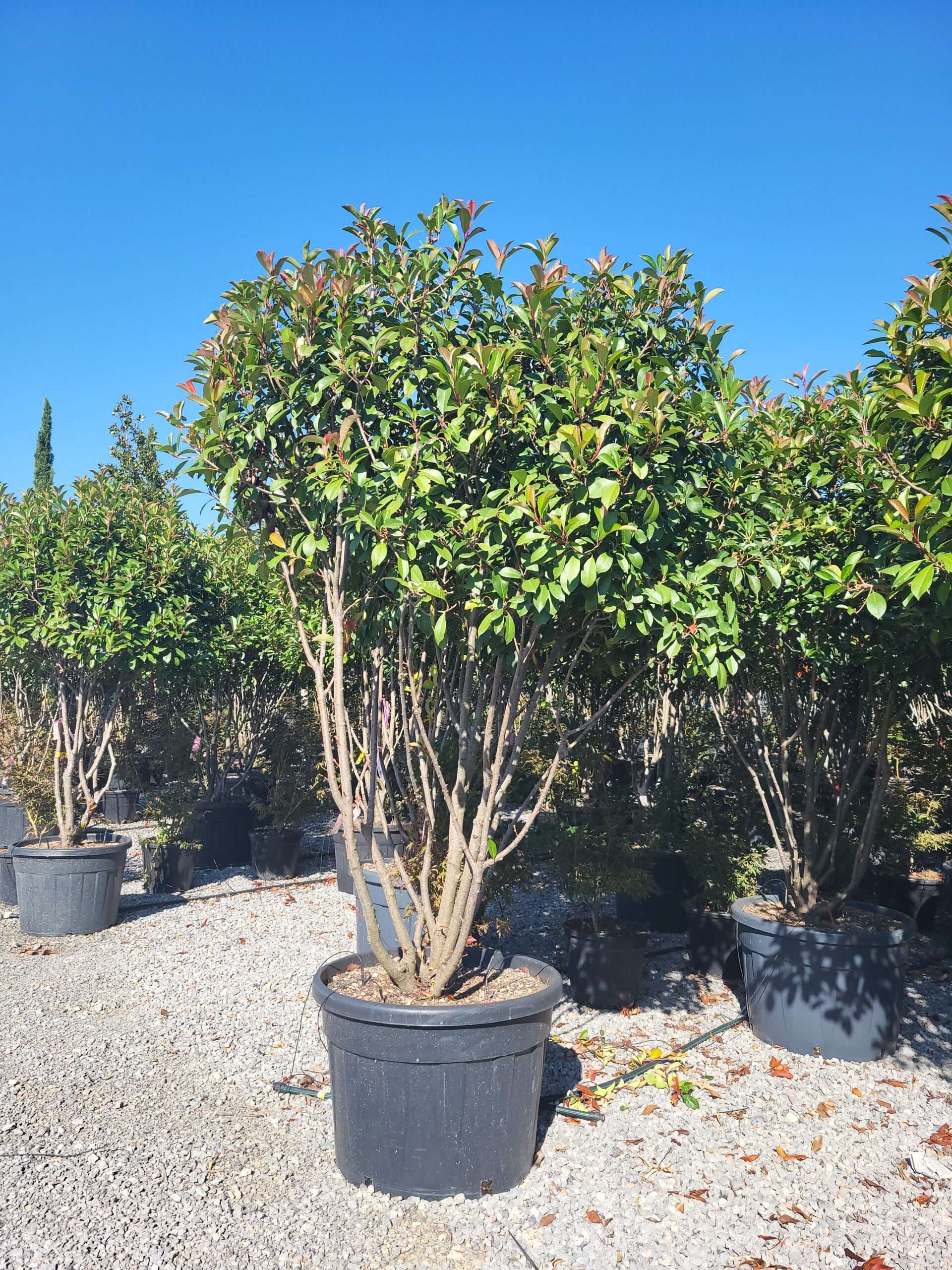 1696398577 scaled 5df5d50d