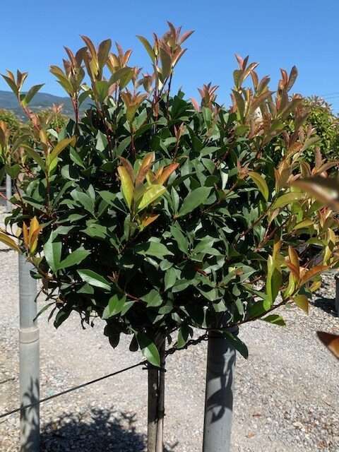 1603095990 rotated 5e8415ee