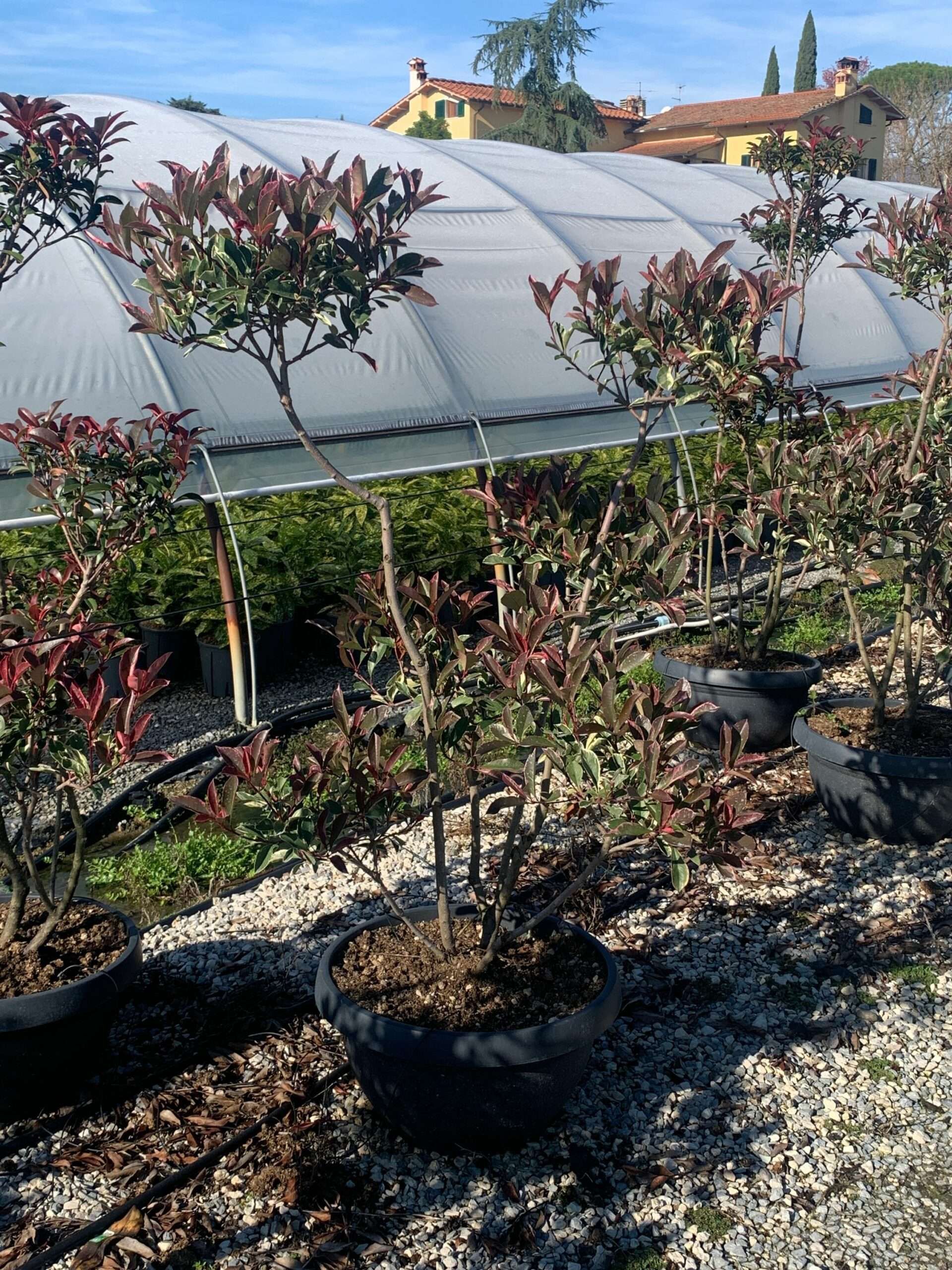 1637319670 scaled 5e7ba9dd