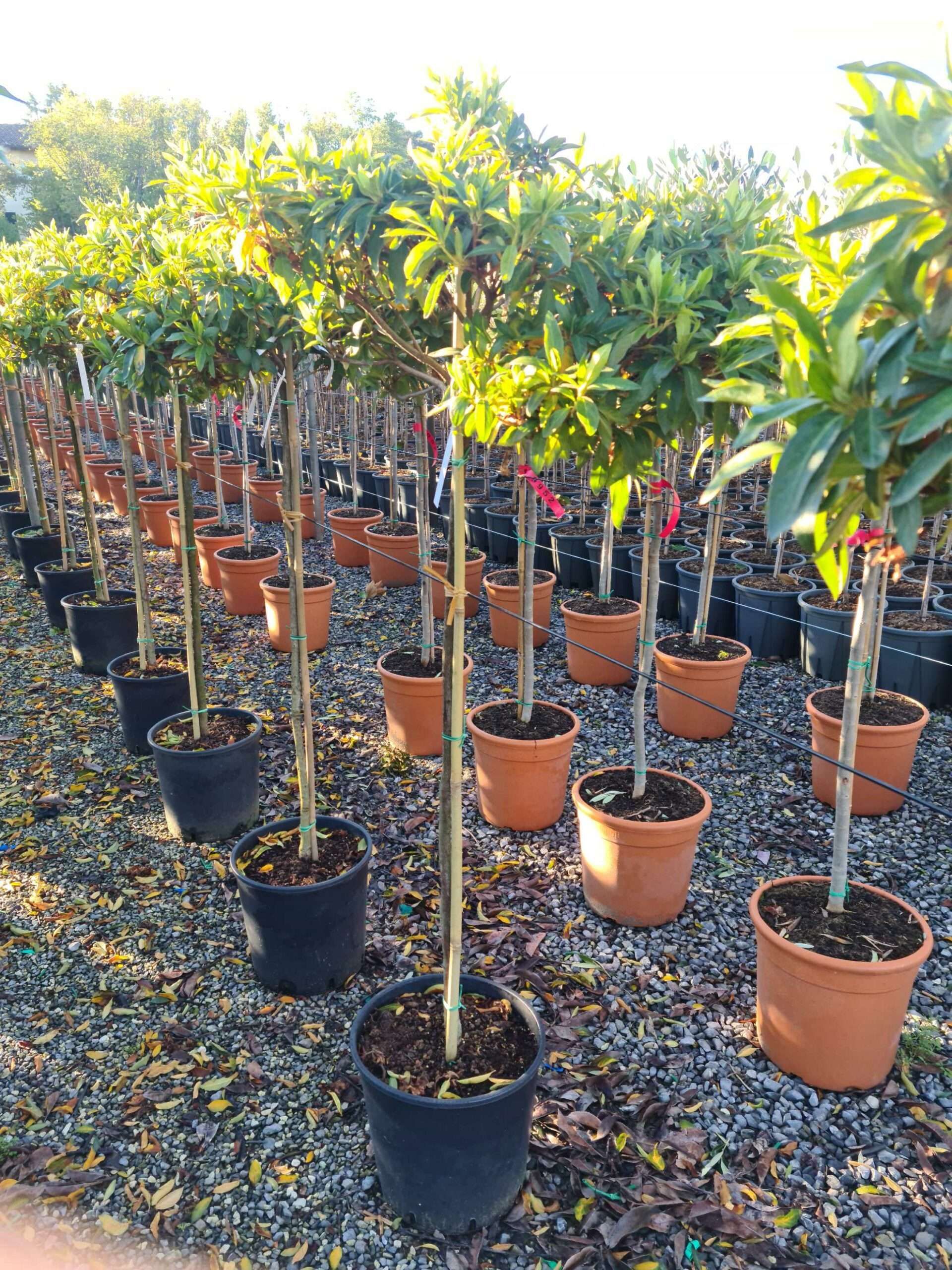 1639644004 scaled 5ea7e8ba