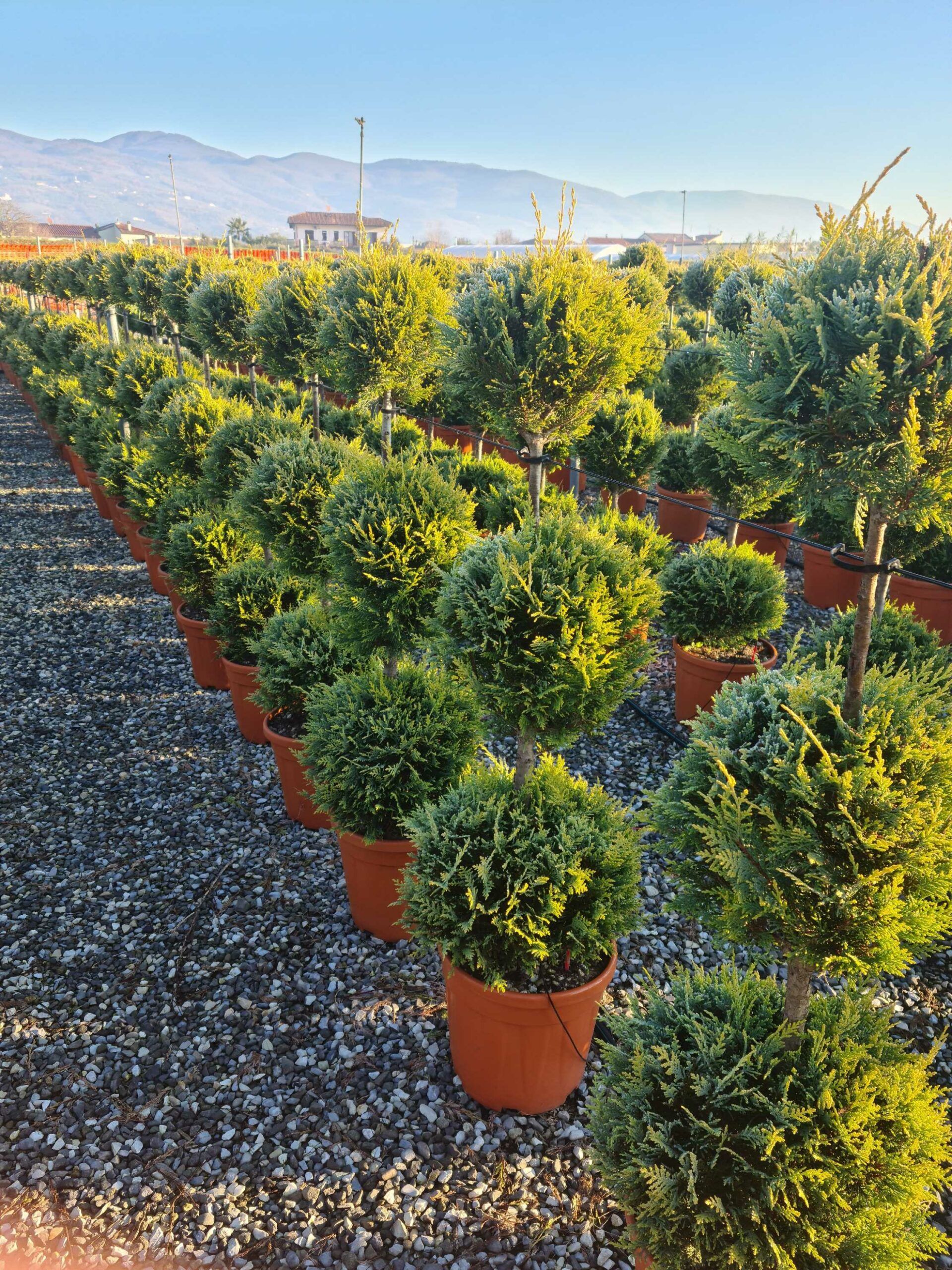 1639815171 scaled 5e770524