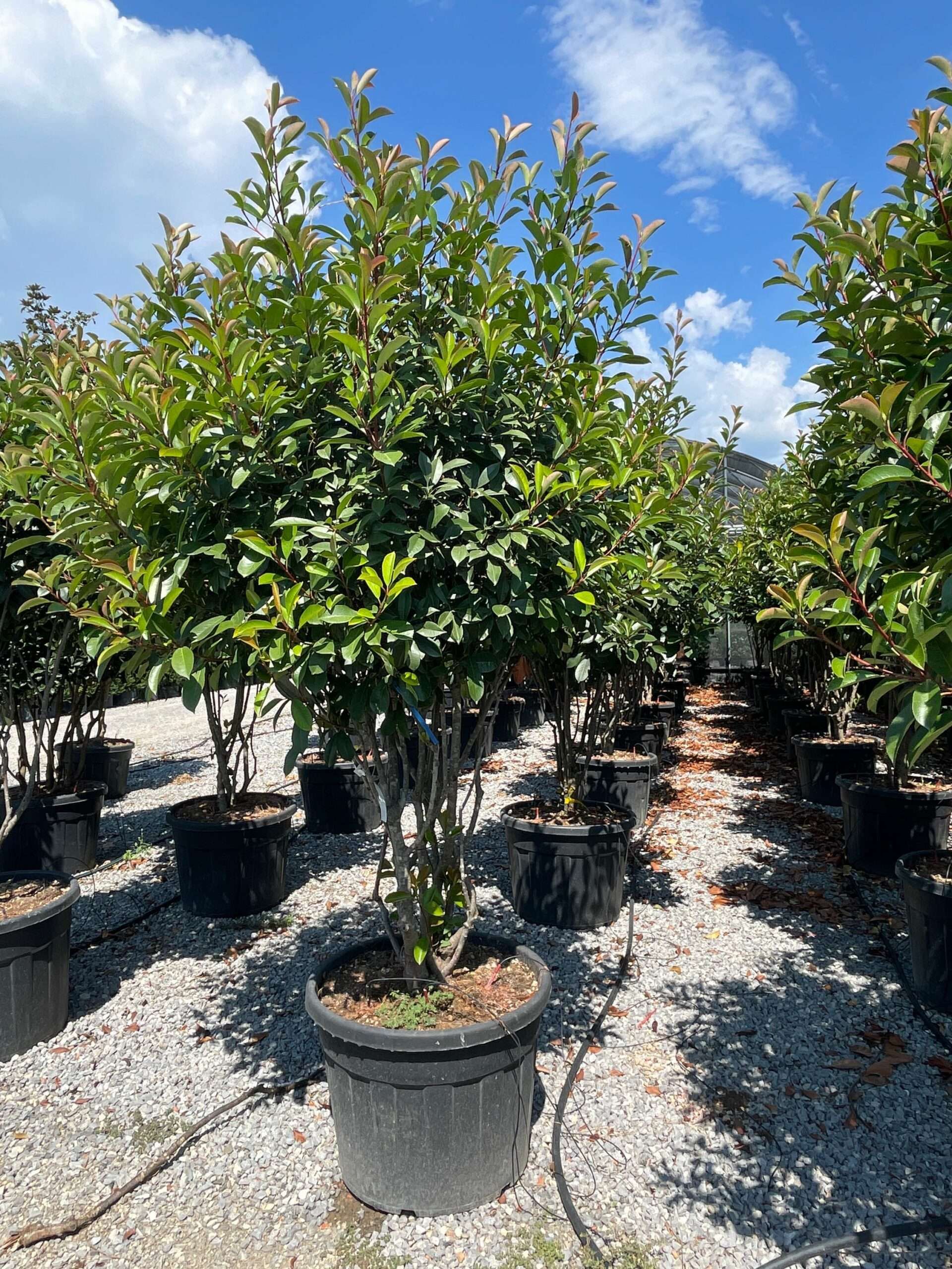 1661510771 scaled 5eb3df4f