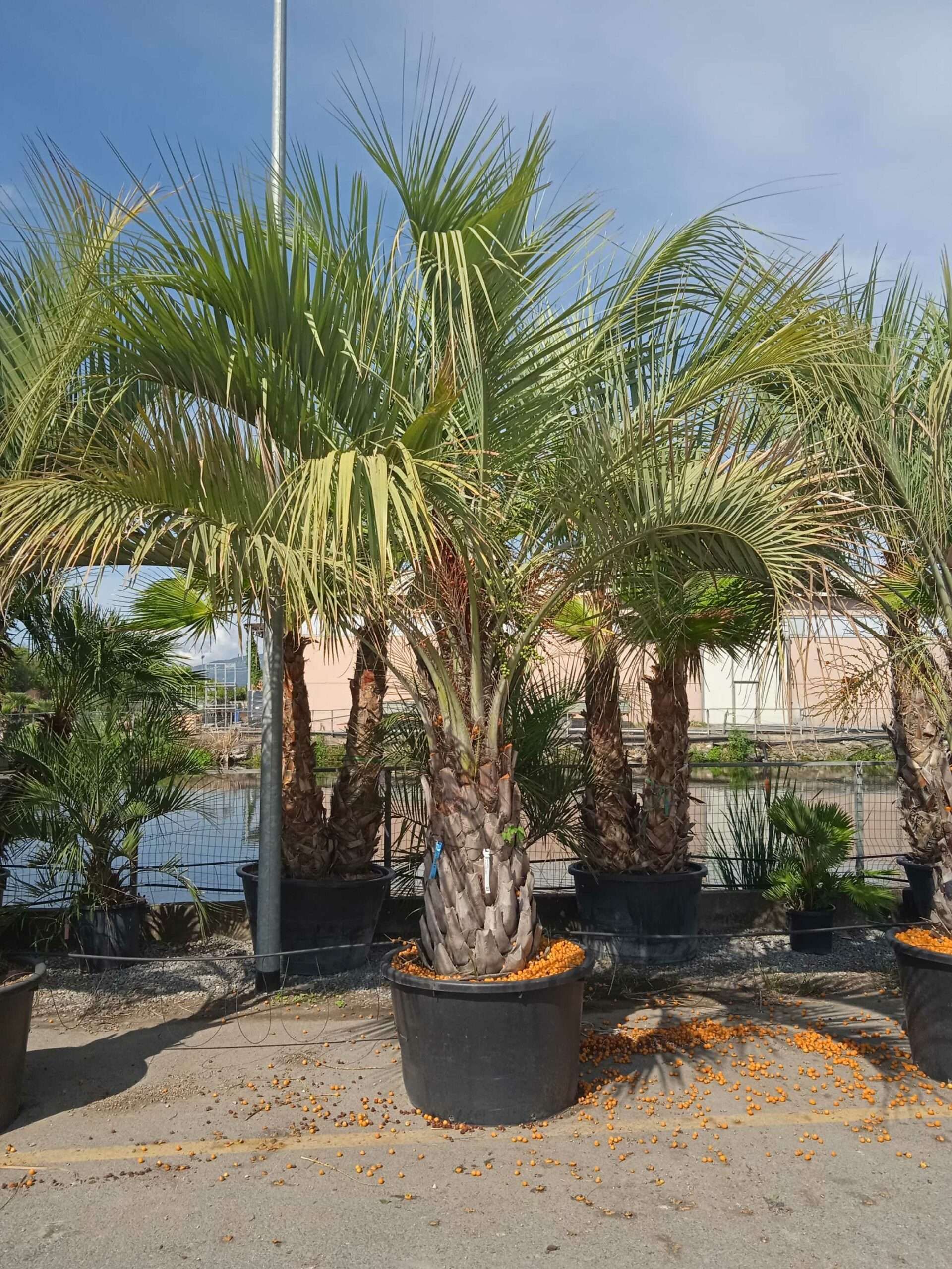 1662023012 scaled 5ebfe7ed